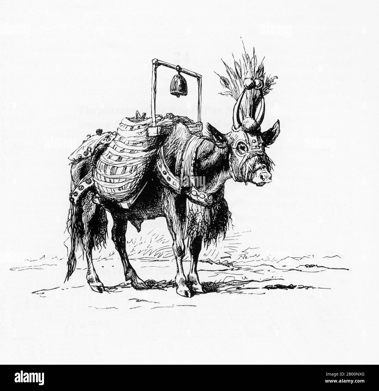 Thailand: Bleibarren einer Bullocks-Karawane bei Chiang Mai. Gravur von einem unbekannten Künstler, c. 1882-1884. Dr. Paul Neis unternahm im Auftrag des französischen Bildungsministers eine wissenschaftliche Mission nach Cochinchina und Laos. Über Chiang Mai und Nord-Thailand kehrte er nach Bangkok zurück. Seine Mission dauerte 19 Monate zwischen 1882 und 1884. Stockfoto