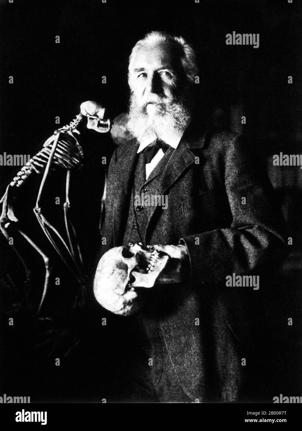 Deutschland: Ernst Haeckel (1834-1919), Wissenschaftler und Forscher von Sri Lanka und Indonesien. Foto von Nicola Perscheid (1864-1930), 1906. Ernst Heinrich Philipp August Haeckel (16. Februar 1834 – 9. August 1919), ebenfalls von Haeckel geschrieben, war ein bedeutender deutscher Biologe, Naturforscher, Philosoph, Arzt, Professor und Künstler, der Tausende neuer Arten entdeckte, beschrieb und benannte, einen genealogischen Baum aller Lebensformen kartierte, Und prägte viele Begriffe in der Biologie, einschließlich Anthropogenie, Ökologie, Stamm, Phylogenie, und das Königreich Protista. Stockfoto