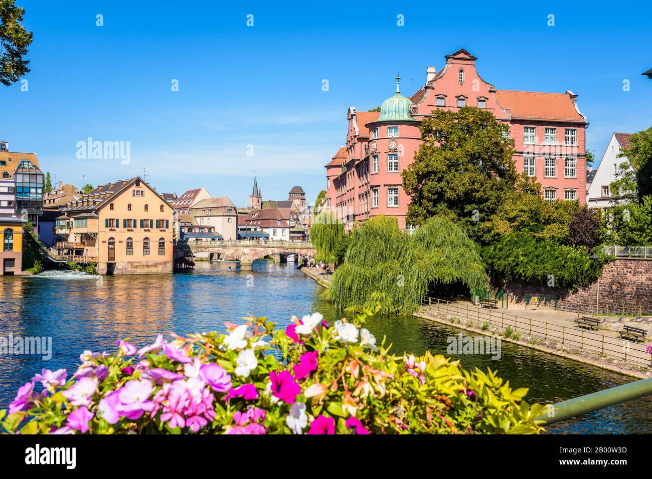 Blick auf das historische Viertel Petite France in Straßburg, Frankreich, mit der Ill des Flusses, den ehemaligen Wassermühlen und den Topfblumen im Vordergrund. Stockfoto