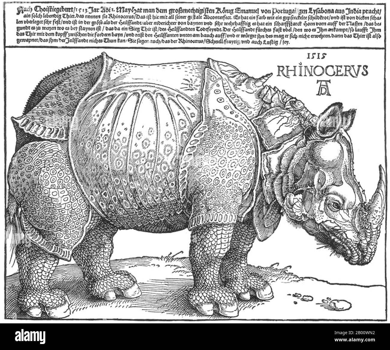 Deutschland: 'Dürer's Rhinoceros'. Holzschnitt von Albrecht Durer (1471-1528), 1515. Albrecht Dürer (21. Mai 1471 – 6. April 1528) war ein deutscher Maler, Grafiker und Theoretiker aus Nürnberg. Seine Grafiken haben seinen Ruf in ganz Europa begründet, als er noch in seinen Zwanzigern war, und er gilt seitdem konventionell als der größte Künstler der nördlichen Renaissance. Dürers Einführung klassischer Motive in die Nordkunst, durch seine Kenntnisse italienischer Künstler und deutscher Humanisten, hat sich seinen Ruf als eine der wichtigsten Figuren der Nordrenaissance gesichert. Stockfoto