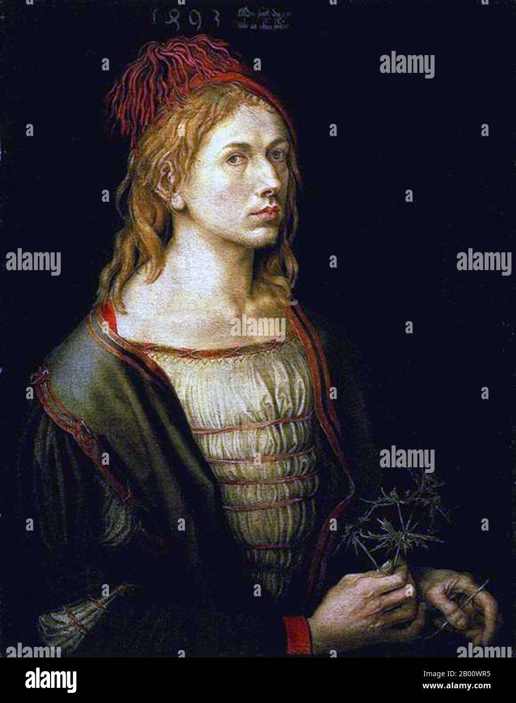 Deutschland: 'Selbstportrait der Künstlerin, die einen Thistle hält'. Öl auf Leinwand Gemälde von Albrecht Dürer (1471-1528), 1493. Albrecht Dürer (21. Mai 1471 – 6. April 1528) war ein deutscher Maler, Grafiker und Theoretiker aus Nürnberg. Seine Grafiken haben seinen Ruf in ganz Europa begründet, als er noch in seinen Zwanzigern war, und er gilt seitdem konventionell als der größte Künstler der nördlichen Renaissance. Dürers Einführung klassischer Motive in die Nordkunst, durch seine Kenntnisse italienischer Künstler und deutscher Humanisten, haben sich seinen wichtigen Ruf gesichert. Stockfoto