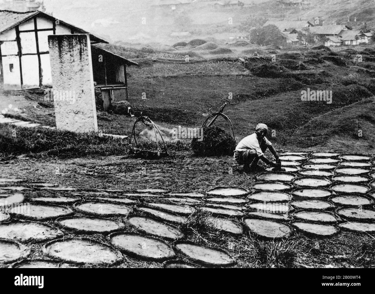 Tibet/China: Ein tibetischer Bauer in der Stadt Atentze legt Yakmist zum Trocknen aus, bevor er als Brennstoff verwendet wird; fotografiert 1900. Ländliche Tibeter sammeln oft täglich Yakmist von den Pfaden, um auszutrocknen und als Brennstoff für Feuer zu verwenden. Die Sherpa-Leute verlassen sich auf kleine Eisenöfen, um ihre Häuser zu heizen und in ihrer Küche zu kochen. Oberhalb einer bestimmten Höhe gibt es einfach kein Holz zu finden, und die chinesische Regierung hat strenge Beschränkungen für den Holzeinschlag in den geschützten Himalaya-Wäldern gesetzt. Stockfoto
