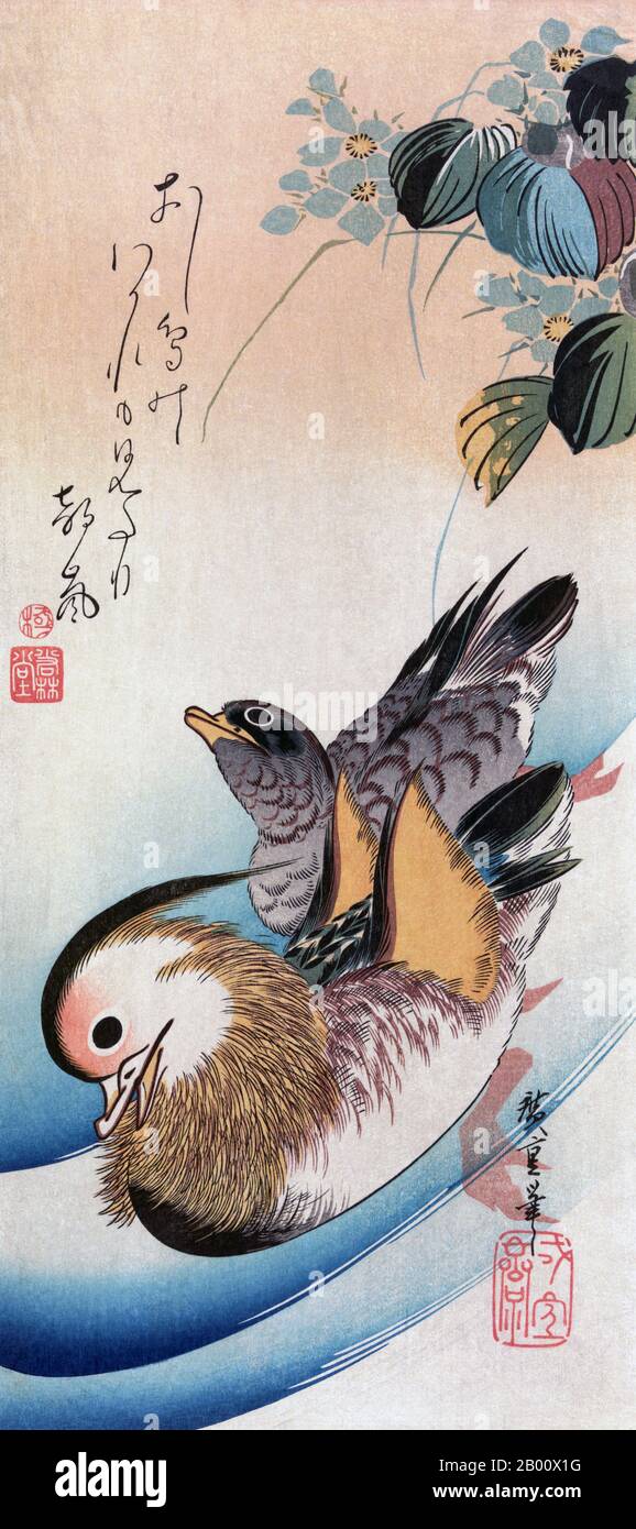 Japan: 'Oshidori (Mandarin Ducks)'. Holzschnitt von Utagawa Hiroshige (1797-1858), c. 1830-1858. "Mandarin Ducks" wird von einem Gedicht begleitet, das lautet: "Draußen in einem Morgenwind, haben ein Paar Mandarinenten Enten Abschied gesehen. Selbst das beste Liebespaar streitet'. Hiroshige war Mitglied der Utagawa-Schule, die von Utagawa Toyoharu gegründet wurde, deren wichtigste Innovation seine Anpassung der linearen Perspektive an japanische Themen war. Sein Schüler, Toyokuni I, übernahm nach Toyoharus Tod die Schule und machte die Gruppe zur berühmtesten und mächtigsten Holzschnitt-Schule des 19. Jahrhunderts. Stockfoto