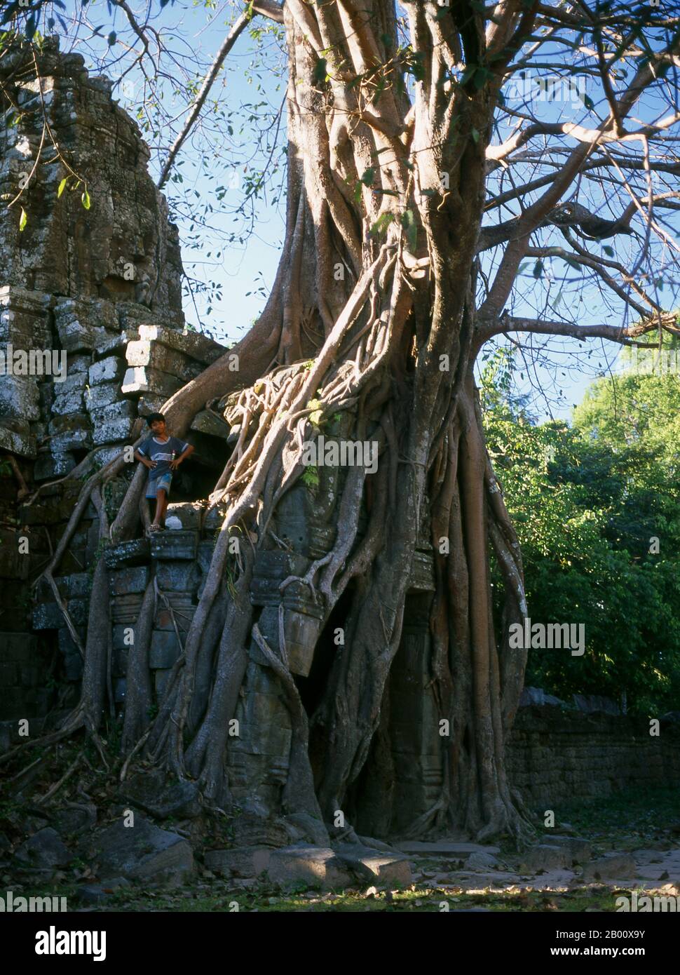 Kambodscha: Gopura und Baum, Ta Som, Angkor. TA Som wurde Ende des 12. Jahrhunderts für König Jayavarman VII. Erbaut und ist seinem Vater Dharanindravarman II. Gewidmet, der von 1150 bis 1160 König des Khmer-Reiches war. Stockfoto