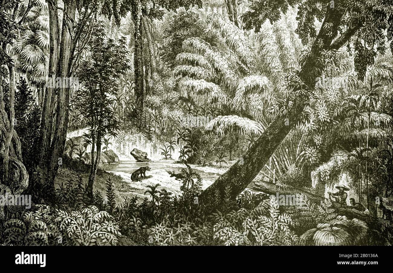 Laos: Urwald rund um den Mekong zwischen Nong Khai (Siam) und Pak Lay (Zentral-Laos). Stich von Louis Delaporte (1842-1925), April 1867. Der Mekong ist der zwölftlängste Fluss der Welt. Von seiner Himalaya-Quelle auf dem tibetischen Hochplateau fließt er etwa 4,350 km (2,703 Meilen) durch die chinesische Provinz Yunnan, Burma, Laos, Thailand, Kambodscha und Vietnam, Schließlich Entwässerung im Südchinesischen Meer. Diese Illustration war eine von Dutzenden, die Louis Delaporte während einer zweijährigen Unternehmung (1866-68) mit der Mekong Exploration Commission, die vom französischen Ministerium der Marine gesponsert wurde, produziert hat. Stockfoto