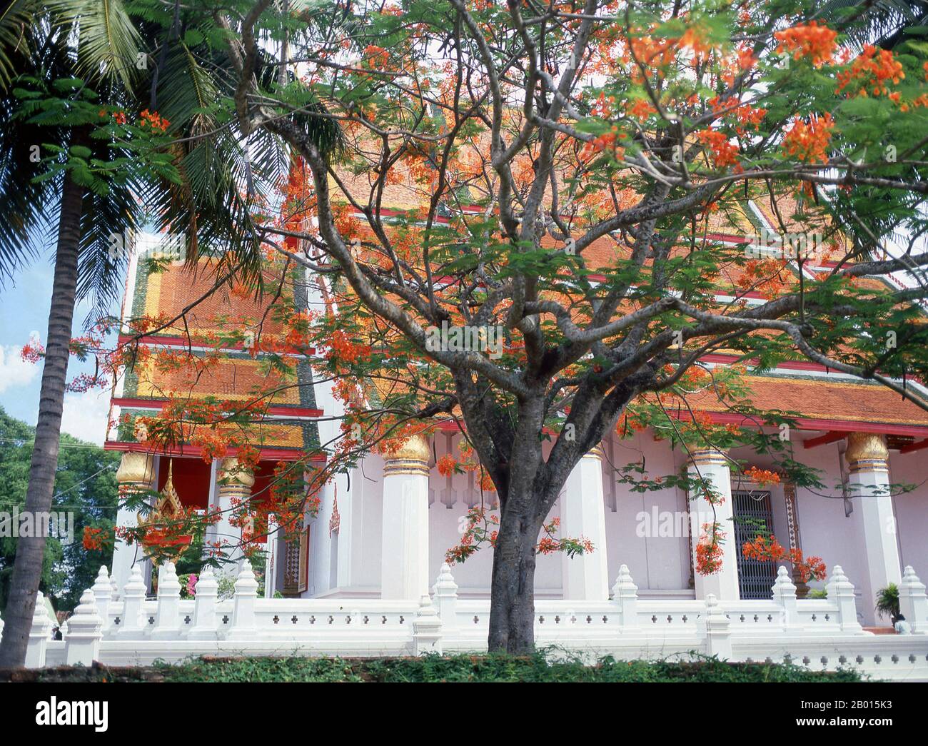 Thailand: Viharn Mongkol Bopit, Ayutthaya Historical Park. Viharn Mongkol Bopit (Wihaan Mongkhon Bopit) enthält ein bronzenes Buddha-Bild aus dem 15. Jahrhundert, eines der größten in Thailand. Ayutthaya (Ayudhya) war ein siamesisches Königreich, das von 1351 bis 1767 existierte. Ayutthaya war gegenüber ausländischen Händlern freundlich, darunter Chinesen, Vietnamesen (Annamesen), Inder, Japaner und Und später die europäischen Mächte, die es ihnen erlauben, Dörfer außerhalb der Stadtmauern zu bauen. Im 16. Jahrhundert wurde sie von ausländischen Händlern als eine der größten und reichsten Städte im Osten beschrieben. Stockfoto