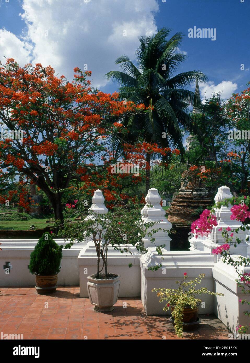 Thailand: Viharn Mongkol Bopit, Ayutthaya Historical Park. Viharn Mongkol Bopit (Wihaan Mongkhon Bopit) enthält ein bronzenes Buddha-Bild aus dem 15. Jahrhundert, eines der größten in Thailand. Ayutthaya (Ayudhya) war ein siamesisches Königreich, das von 1351 bis 1767 existierte. Ayutthaya war gegenüber ausländischen Händlern freundlich, darunter Chinesen, Vietnamesen (Annamesen), Inder, Japaner und Und später die europäischen Mächte, die es ihnen erlauben, Dörfer außerhalb der Stadtmauern zu bauen. Im 16. Jahrhundert wurde sie von ausländischen Händlern als eine der größten und reichsten Städte im Osten beschrieben. Stockfoto
