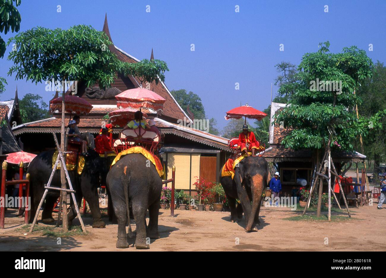 Thailand: Elefanten im Ayutthaya Historical Park. Der asiatische oder asiatische Elefant (Elephas maximus) ist die einzige lebende Art der Gattung Elephas und ist auf dem Subkontinent und Südostasien von Indien im Westen bis Borneo im Osten verbreitet. Asiatische Elefanten sind das größte lebende Landtier in Asien. In Thailand leben rund 2,600 Elefanten, die meisten davon sind domestiziert. Ayutthaya (Ayudhya) war ein siamesisches Königreich, das von 1351 bis 1767 existierte. Ayutthaya war gegenüber ausländischen Händlern freundlich. Stockfoto