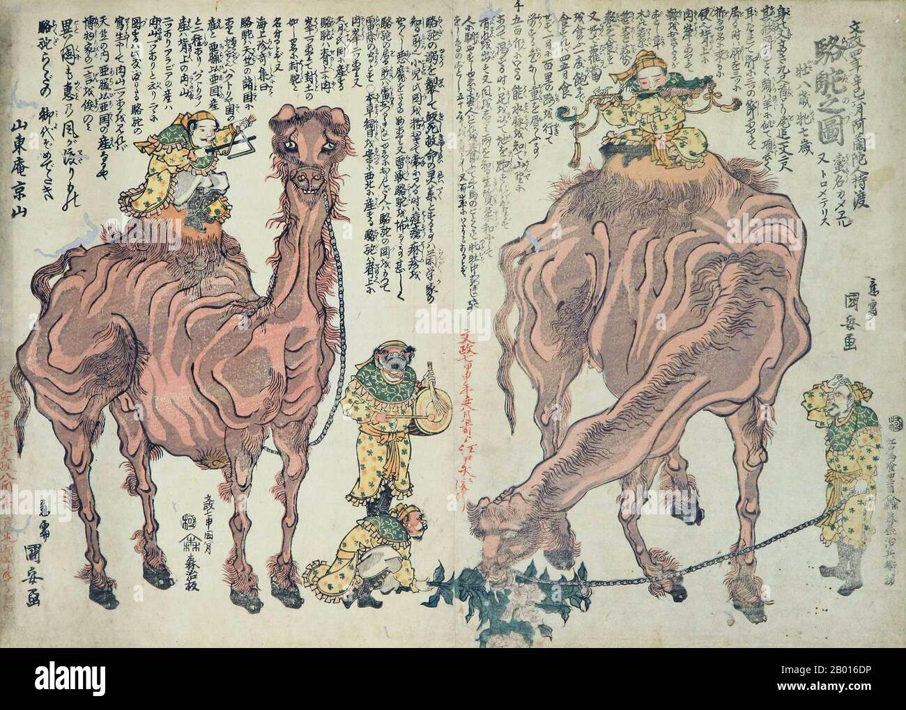 Japan: 'Kamele und Musiker'. Ukiyo-e Holzschnitt von Utagawa Kuniyasu (1794-1832), 1824. Die Kamele und Musiker sind von der Tang-Dynastie und der Seidenstraße, insbesondere von sogdischen oder zentralasiatischen Entertainern am Tang-Hof, redolent. Utagawa Kuniyasu, geboren als Yasugoro und auch bekannt als Ipposai und Nishikawa Yasunobu, war ein relativ beliebter japanischer Künstler aus der Utagawa-Schule. Er wurde von Utagawa Toyokuni unterrichtet und illustrierte während seiner Karriere rund hundert Bücher. Er entwarf auch Hunderte von eigenständigen Grafiken von Schauspielern (yakusha-e) und Schönheiten (bijing-ga). Stockfoto