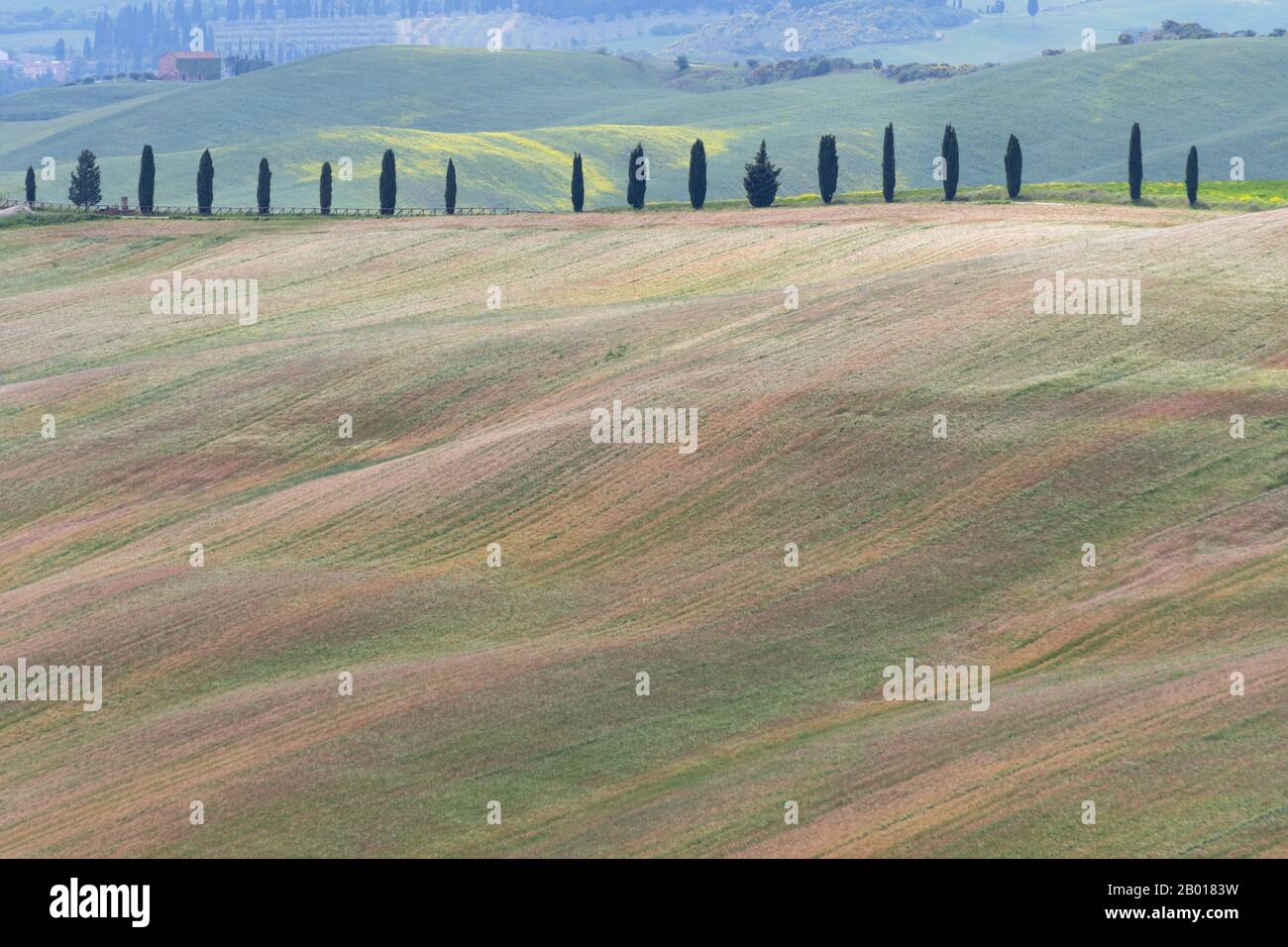 Sanfte Hügel in verschiedenen Farben in sanftem Licht, Toskana, Italien. Stockfoto