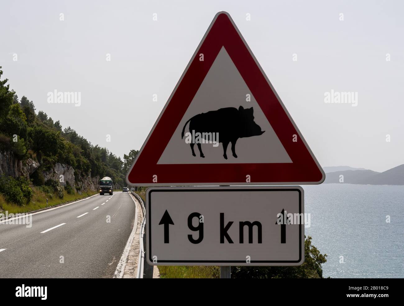 Banja, Kroatien - 24. April 2019: Verkehrszeichen und Warnung vor Wildschweinen, die die Straße überqueren. Stockfoto