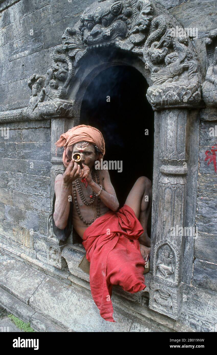 Nepal: Haschisch rauchender Sadhu, Pashupatinath, Kathmandu. Sie sind, verschiedentlich, als Sadhus (Heilige oder 'gute'), Yogis (asketische Praktizierende) bekannt, Fakiren (asketischer Sucher nach der Wahrheit) und Sannyasine (wandernde Bettelmönchen und Asketen). Sie sind die asketischen – und oft exzentrischen – Praktizierenden einer strengen Form des Hinduismus. Geschworen, irdische Wünsche abzuwerfen, entscheiden sich manche dafür, als Anchoriten in der Wildnis zu leben. Andere sind weniger pensioniert, vor allem in den Städten und Tempeln des nepalesischen Kathmandu-Tals. Stockfoto