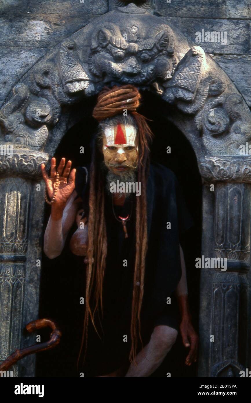 Nepal: Eine Aghori Baba (eine heterodoxe Hindu-Sekte), Pashupatinath, Kathmandu. Sie sind, verschiedentlich, als Sadhus (Heilige oder 'gute'), Yogis (asketische Praktizierende) bekannt, Fakiren (asketischer Sucher nach der Wahrheit) und Sannyasine (wandernde Bettelmönchen und Asketen). Sie sind die asketischen – und oft exzentrischen – Praktizierenden einer strengen Form des Hinduismus. Geschworen, irdische Wünsche abzuwerfen, entscheiden sich manche dafür, als Anchoriten in der Wildnis zu leben. Andere sind weniger pensioniert, vor allem in den Städten und Tempeln des nepalesischen Kathmandu-Tals. Stockfoto