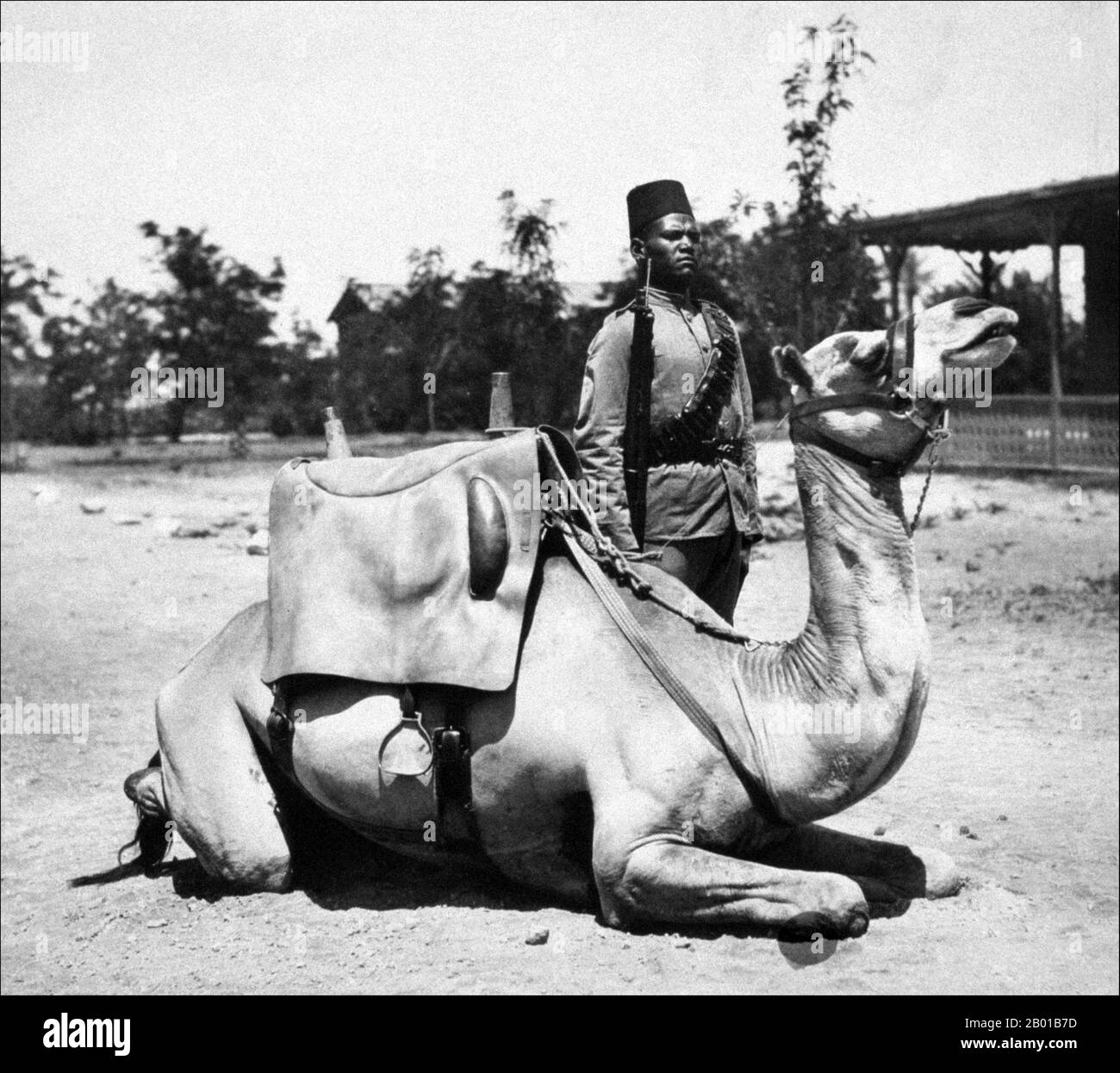 Sudan: Mitglied des kaiserlichen sudanesischen Kamelkorps des anglo-ägyptischen Sudan. Foto von Frank George Corper (8. Mai 1855 - 18. Juni 1924) c.. 1900-1920. Der Begriff Anglo-ägyptischer Sudan bezieht sich auf den Zeitraum zwischen 1891 und 1956, als der Sudan als Kondominium von Ägypten und dem Vereinigten Königreich verwaltet wurde. Der Sudan (bestehend aus dem heutigen Sudan und dem Südsudan) wurde de jure legal zwischen Ägypten und dem britischen Imperium geteilt, wurde aber de facto von letzterem kontrolliert, wobei Ägypten in Wirklichkeit nur begrenzte lokale Macht genießt, da Ägypten selbst unter zunehmenden britischen Einfluss fiel. Stockfoto