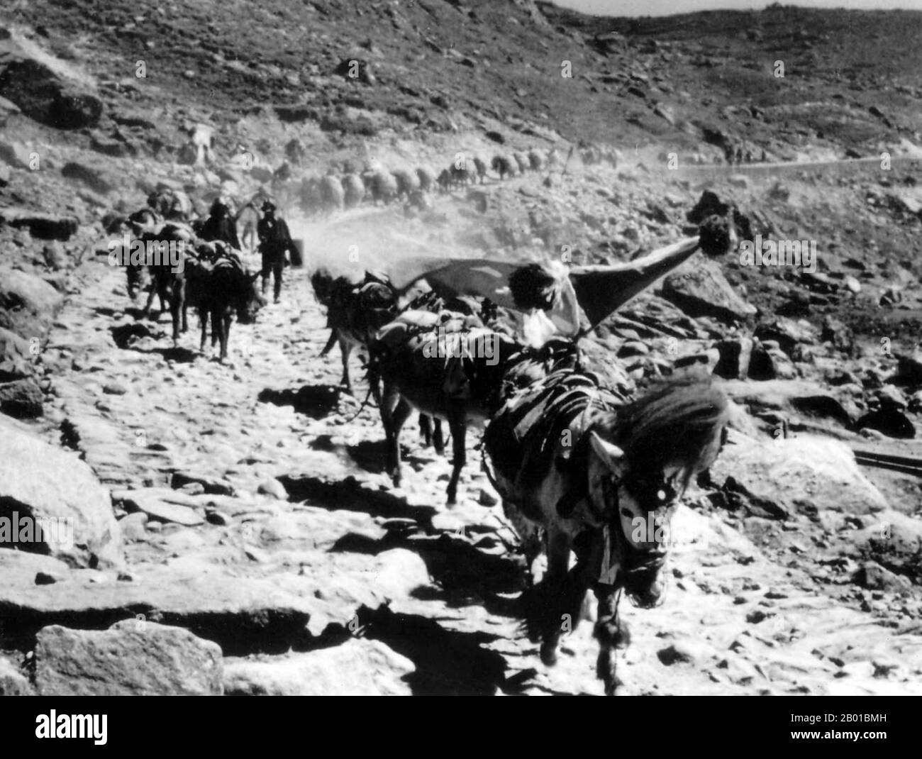 Indien/Sikkim: Eine Maultier-Karawane aus Tibet kommt über den Nathu La Pass, 1930s, nach Sikkim. Nathu La (chinesisch: Nǎiduīlā Shānkǒu) ist ein Gebirgspass im Himalaya. Es verbindet den indischen Staat Sikkim mit Chinas Autonomer Region Tibet. Der Pass, der 4.310 m (14.140 ft) über dem mittleren Meeresspiegel liegt, ist Teil eines Ableger der alten Tea Horse Road. Nathu bedeutet „Ohren hören“ und La bedeutet auf Tibetisch „Pass“. Es wird auch Ntula, Natu La, Natula oder Natula geschrieben. Nathu La ist einer der drei Handelsgrenzposten zwischen China und Indien. Stockfoto