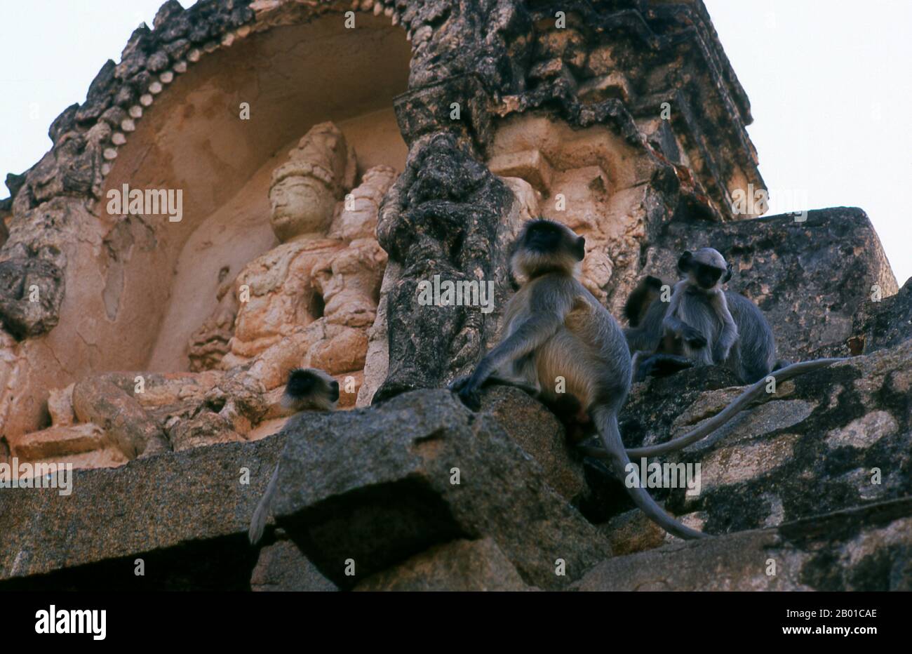 Graue Languren oder Hanuman-Languren sind die am weitesten verbreiteten Languren Südasiens. Der Virupaksha-Tempel (auch Pampapathi-Tempel genannt) ist Hampis wichtigstes Pilgerzentrum. Sie ist unter den umliegenden Ruinen völlig intakt und wird bis heute im Gottesdienst genutzt. Der Tempel ist Lord Shiva gewidmet, der hier als Virupaksha bekannt ist, als Einsitz der lokalen Göttin Pampa, die mit dem Fluss Tungabhadra in Verbindung gebracht wird. Hampi ist ein Dorf im nördlichen Karnataka-Staat. Sie liegt innerhalb der Ruinen von Vijayanagara, der ehemaligen Hauptstadt des Vijayanagara-Imperiums. Vor der Stadt Vijayanagara geht es weiter Stockfoto