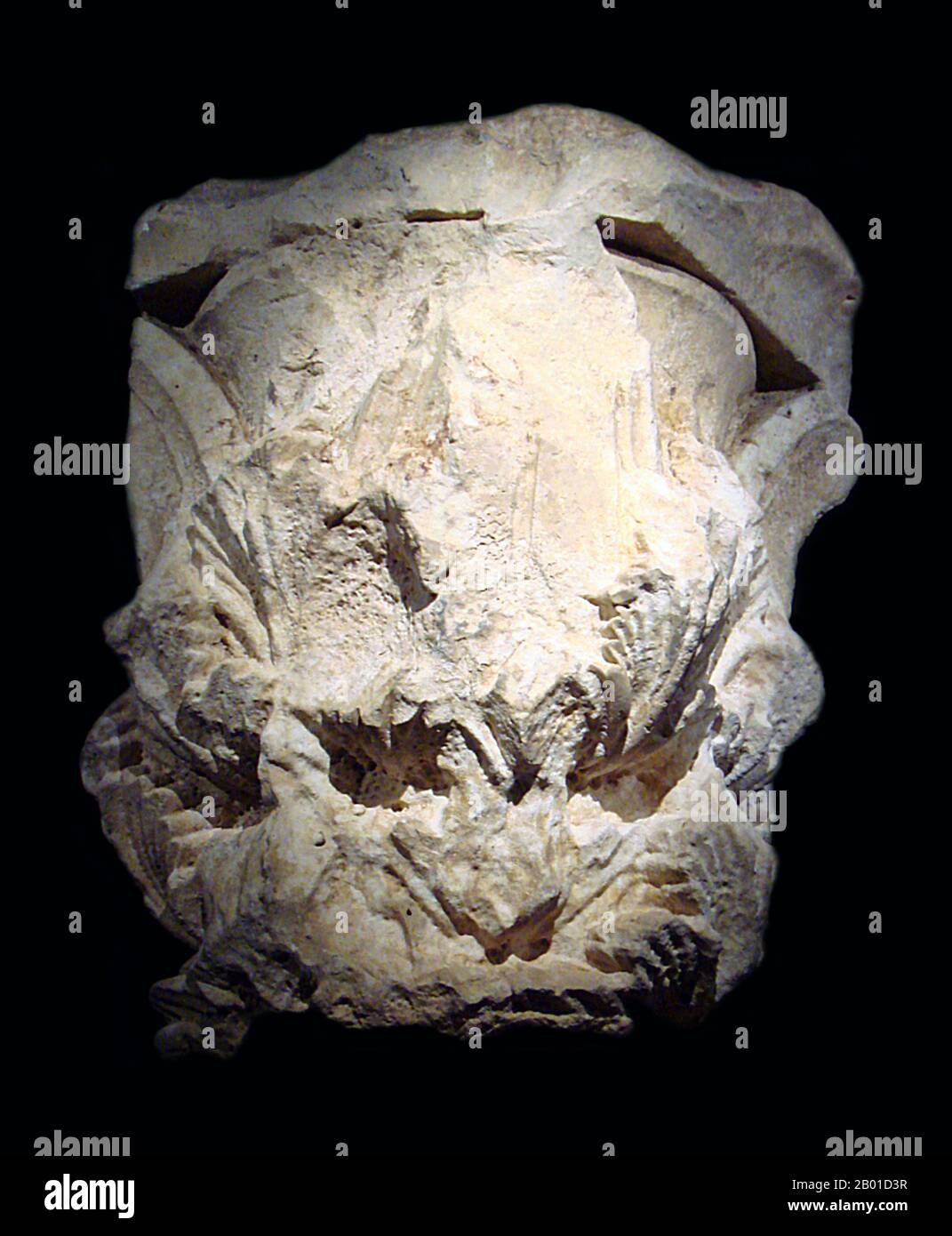 Afghanistan: Eine hellenistische Hauptstadt, die in der Stadt Balkh, möglicherweise 2. Jahrhundert v. Chr., gefunden wurde. Foto von World Imaging (CC BY-SA 3,0 Lizenz). Balkh (altgriechisch: Baktra oder Zariaspa), war eine alte Stadt und Zentrum des Zoroastrismus im heutigen Nordafghanistan. Heute ist es eine kleine Stadt in der Provinz Balkh, etwa 20 Kilometer nordwestlich der Provinzhauptstadt Mazar-i Sharif und etwa 74 Kilometer (46 Meilen) südlich des Amu Darya. Es war eine der großen Städte von Khorasan. Marco Polo beschrieb Balkh als eine "edle und großartige Stadt". Stockfoto