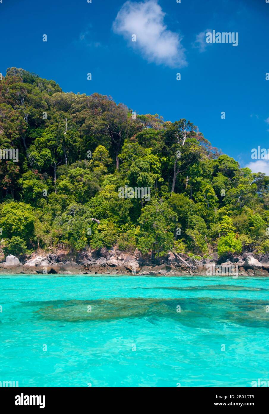 Thailand: Ko Surin Tai, Surin Islands Marine-Nationalpark. Ko Surin Marine National Park ist eine der letzten Grenzen Thailands zum Tauchen und Segeln. Dieser Meerespark in der Andamanensee beherbergt einige der am stärksten entwickelten Korallenriffe des Landes. Die Inselgruppe Koh Surin ist eine 135 km2 große Fläche in der Andamanensee, etwa 60 Kilometer (38 Meilen) vor der Provinz Ranong. Die fünf Inseln des Parks liegen südlich der Grenze zu Birma. Stockfoto