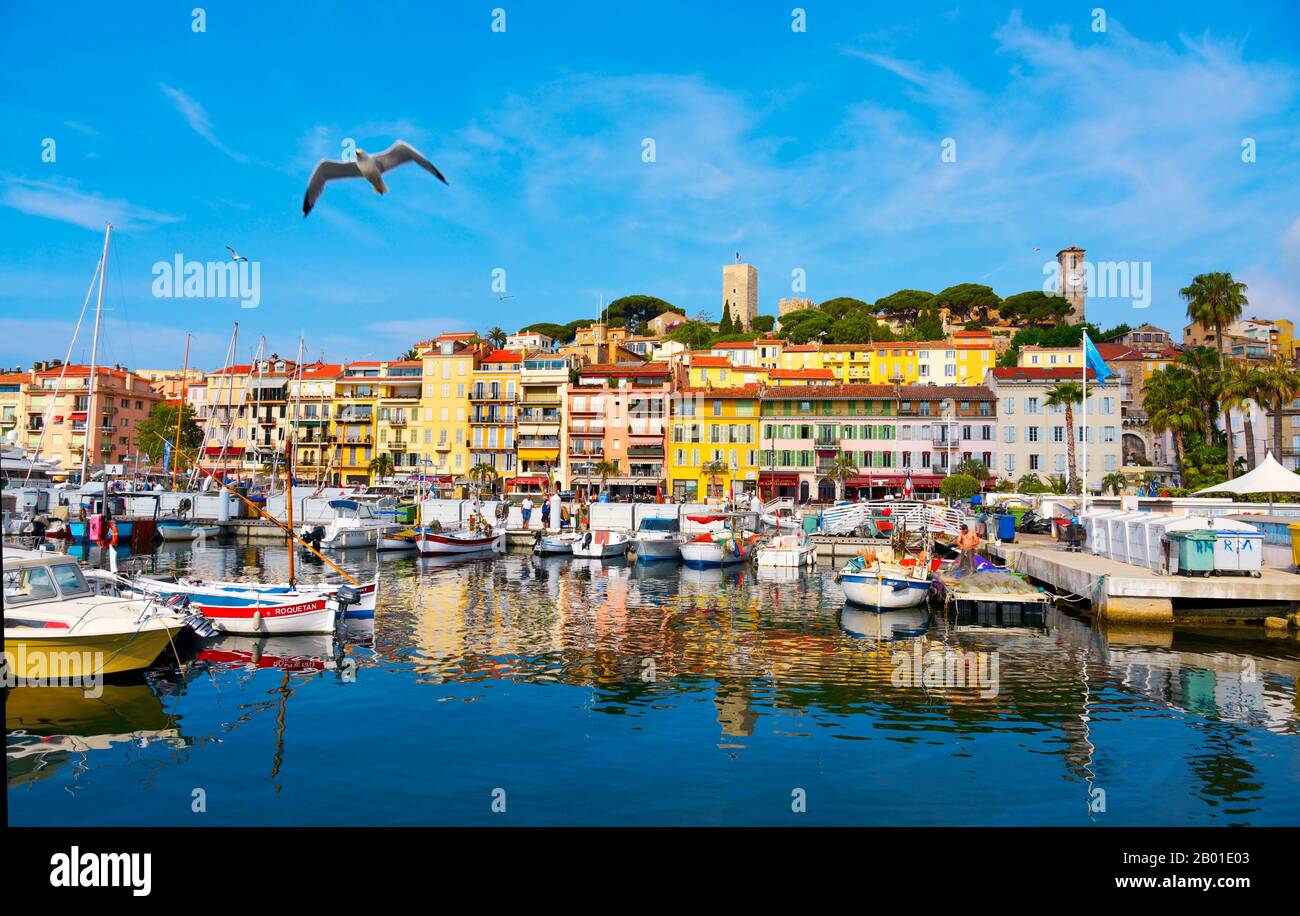 Cannes, FRANKREICH - 3. JUNI 2017: Blick auf den Vieux Port, den Alten Hafen von Cannes und den Stadtteil Le Suquet, die Altstadt, im Hintergrund Stockfoto