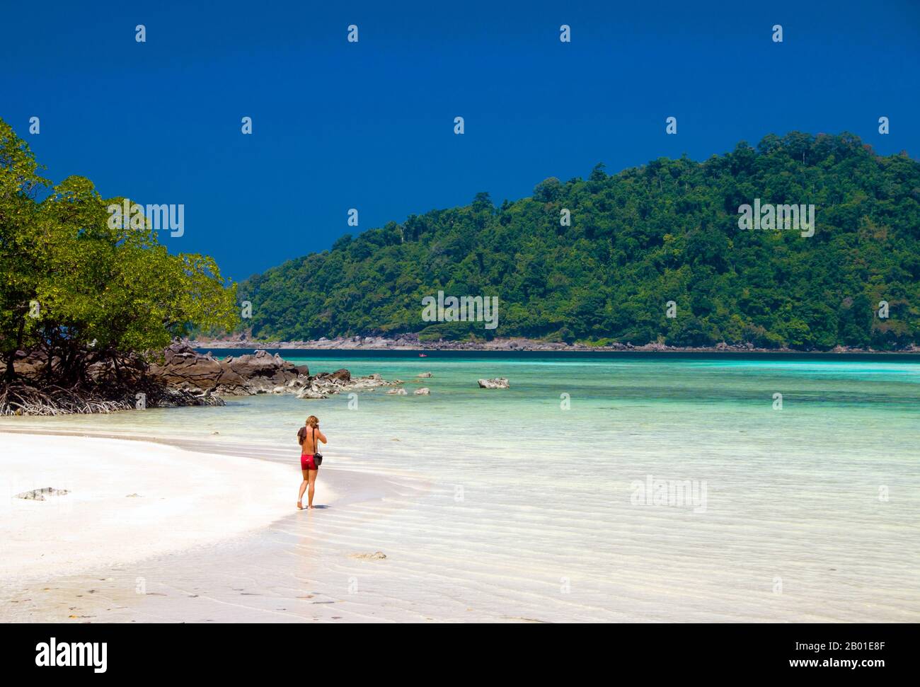 Thailand: Mae Ngam Beach, Ko Surin Nua, Surin Islands Marine National Park. Ko Surin Marine National Park ist eine der letzten Grenzen Thailands zum Tauchen und Segeln. Dieser Meerespark in der Andamanensee beherbergt einige der am stärksten entwickelten Korallenriffe des Landes. Die Inselgruppe Koh Surin ist eine 135 km2 große Fläche in der Andamanensee, etwa 60 Kilometer (38 Meilen) vor der Provinz Ranong. Die fünf Inseln des Parks liegen südlich der Grenze zu Birma. Koh Surin Nua, eine der beiden Hauptinseln, hat eine Fläche von etwa 19 Quadratkilometern. Stockfoto