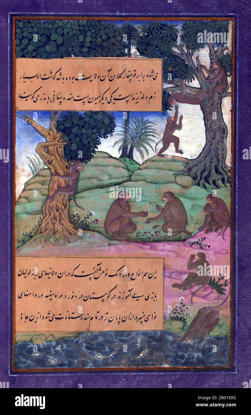 Indien: Hindustanische Tiere - Affen, denen man Tricks beibringen kann. Miniaturgemälde aus dem Baburnama, Ende des 16. Jahrhunderts. Bāburnāma (wörtlich: "Buch von Babur" oder "Briefe von Babur"; auch bekannt als Tuzk-e Babri) ist der Name, der den Memoiren von Ẓahīr ud-Dīn Muḥammad Bābur (1483-1530), dem Gründer des Mogul-Reiches und Ururururensohn von Timur, gegeben wurde. Es handelt sich um ein autobiographisches Werk, ursprünglich in der Sprache Chagatai geschrieben, das Babur als „Turki“ (d. h. Turkisch), die gesprochene Sprache der Andischan-Timuriden, bekannt ist. Stockfoto