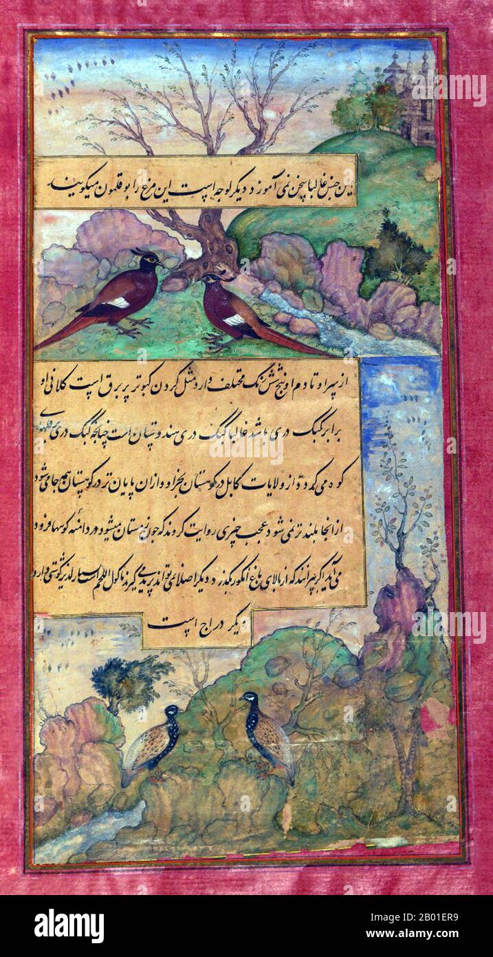 Indien: Hindustantiere - Wildvögel. Miniaturgemälde aus dem Baburnama, Ende des 16. Jahrhunderts. Bāburnāma (wörtlich: "Buch von Babur" oder "Briefe von Babur"; auch bekannt als Tuzk-e Babri) ist der Name, der den Memoiren von Ẓahīr ud-Dīn Muḥammad Bābur (1483-1530), dem Gründer des Mogul-Reiches und Ururururensohn von Timur, gegeben wurde. Es handelt sich um ein autobiographisches Werk, ursprünglich in der Sprache Chagatai geschrieben, das Babur als „Turki“ (d. h. Turkisch), die gesprochene Sprache der Andischan-Timuriden, bekannt ist. Stockfoto