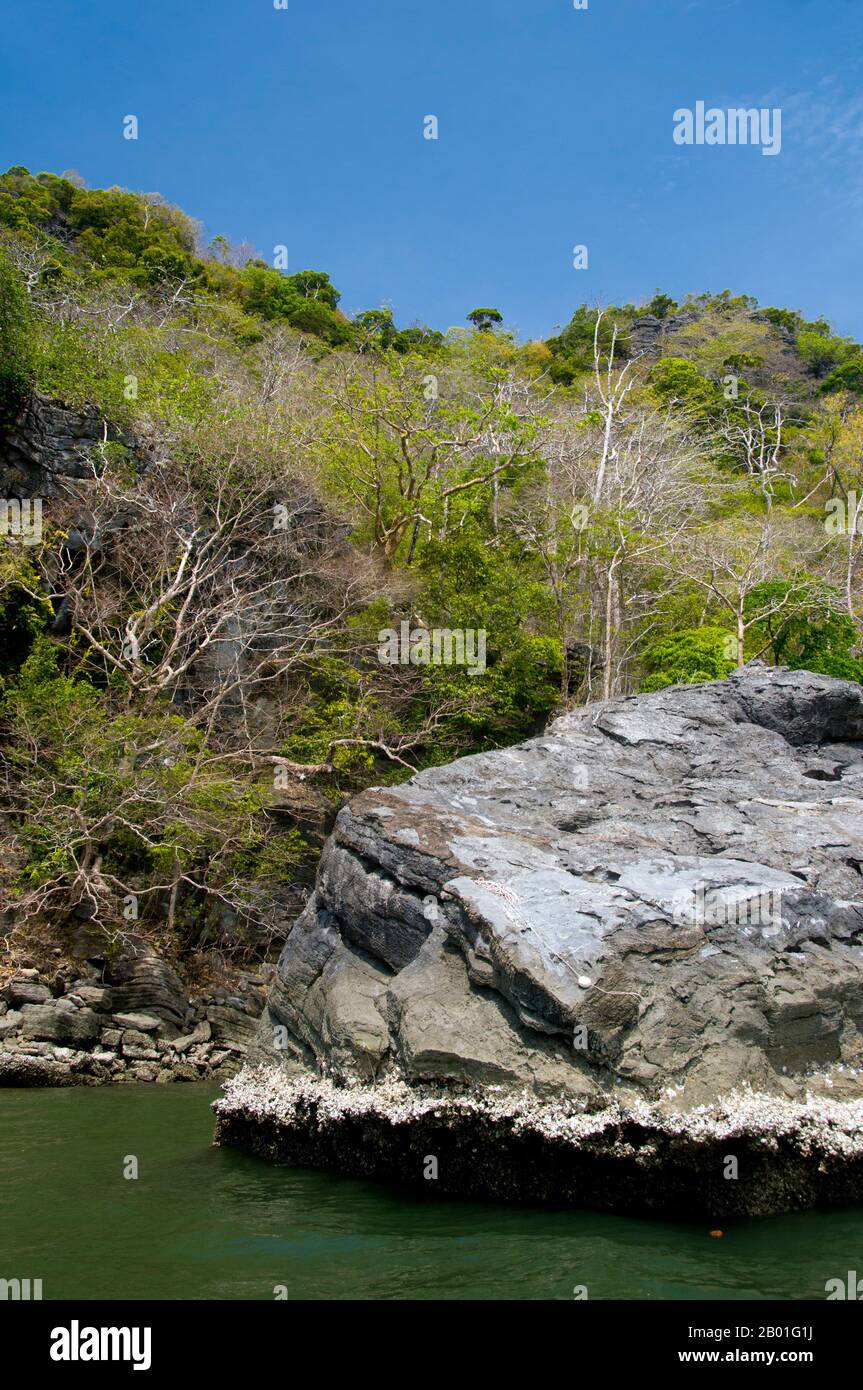 Der Marine Nationalpark Ko Tarutao besteht aus 51 Inseln in zwei Hauptgruppen, die über die Andamanensee im südlichsten Thailand verstreut sind. Nur sieben der Inseln haben eine beliebige Größe, darunter Ko Tarutao im Osten und Ko Adang-Ko Rawi im Westen. Nur 8 km südlich liegt die Meeresgrenze zum berühmten Langkawi-Archipel von Malaysia. Tarutao ist weltberühmt für seine unberührten Tauchplätze, seine reiche Unterwasserwelt und seine herausragende natürliche Schönheit. Auf einer breiten Fläche von 1490 km2 wurde Tarutao 1974 zum zweiten nationalen Meerespark Thailands. Aufgrund der Lage des Stockfoto