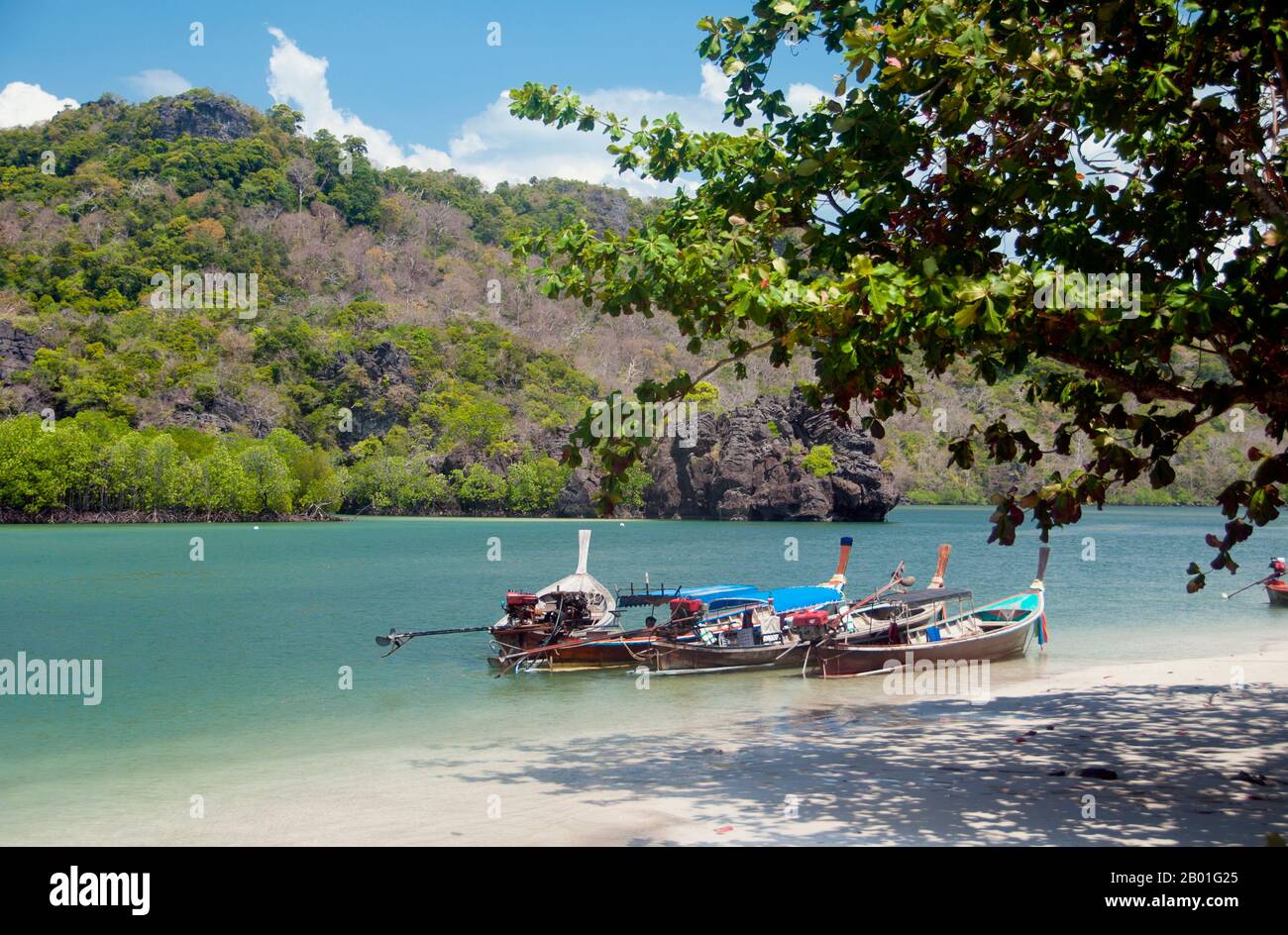 Thailand: Tourboote, Ao Pante Malaka, Ko Tarutao, Ko Tarutao Marine Nationalpark. AO Pante Melaka ist eine lange Bucht am Nordwestufer von Ko Tarutao mit einem feinen Sandstrand. Die Zentrale des Ko Tarutao Marine National Park befindet sich hier, ebenso wie ein Touristenservicezentrum, in dem eine Ausstellung über den historischen und natürlichen Hintergrund des Parks ausgestellt ist. Der Marine-Nationalpark Ko Tarutao besteht aus 51 Inseln in zwei Hauptgruppen, die über die Andamanensee im südlichsten Thailand verstreut sind. Nur sieben der Inseln haben jede Größe, einschließlich Ko Tarutao im Osten. Stockfoto