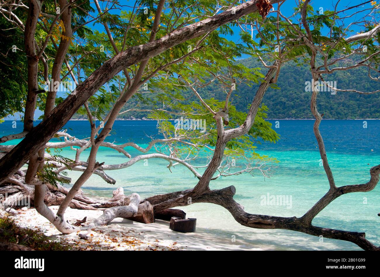 Thailand: Ko Rawi, Ko Tarutao Marine-Nationalpark. Ko Rawi ist die zweitgrößte Insel der Adang-Rawi Gruppe, die selbst Teil des Ko Tarutao Marine National Park ist. Sie hat eine Fläche von etwa 29 Quadratkilometern (11,5 Quadratmeilen) und liegt nur 10 km (6 Meilen) westlich von Ko Adang. Der Marine-Nationalpark Ko Tarutao besteht aus 51 Inseln in zwei Hauptgruppen, die über die Andamanensee im südlichsten Thailand verstreut sind. Nur sieben der Inseln haben jede Größe, einschließlich Ko Tarutao im Osten und Ko Adang-Ko Rawi im Westen. Stockfoto