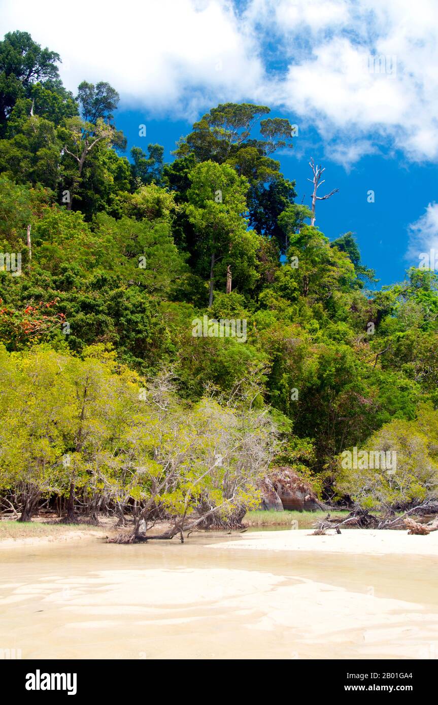 Thailand: Mangroven, Regenwald und Süßwasserstrom, die in den Ozean auf Ko Adang, Ko Tarutao Marine Nationalpark fließen. Ko Adang ist etwa 30 12 groß und fast vollständig von tropischem Regenwald bedeckt. Die Insel ist berühmt für ihr klares Wasser, feine Quarzstrände und herrliche Korallenriffe, die ein Lebensraum für Schwärme bunter Fische und eine Vielzahl anderer Meeresbewohner bieten. Das Innere von Ko Adang ist auch wunderschön unberührt, mit mehreren Wasserfällen, die von den zentralen Höhen (703 Meter oder 2300 Fuß) herunterfallen, vor allem Nam Tok Chon Salat Stockfoto