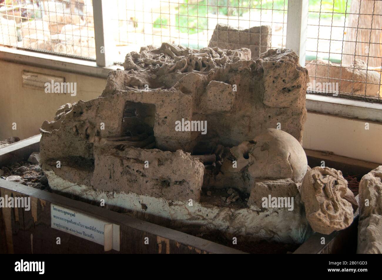 Thailand: Skelettreste wurden in Wiang Tha Kan gefunden, jetzt im kleinen Museum in der Provinz Chiang Mai. Wiang Tha Khan, 16km km südlich von Chiang Mai im ländlichen Stadtteil Sanpatong gelegen, ist ein kleines und wohlhabendes nordthailändisches Dorf inmitten von Lamyai-Plantagen und bewohnt von Tai Yong, das zu Beginn des 19. Jahrhunderts vom nahe gelegenen Shan-Staat in Burma neu angesiedelt wurde. Schon im 10. Jahrhundert war es eine befestigte Stadt oder „wiang“, die als Bastion des Mon-Königreichs Haripunchai, des heutigen Lamphun, diente. Heute überleben die Überreste der Stadtmauern und des umliegenden Grabens inmitten des Lamy Stockfoto