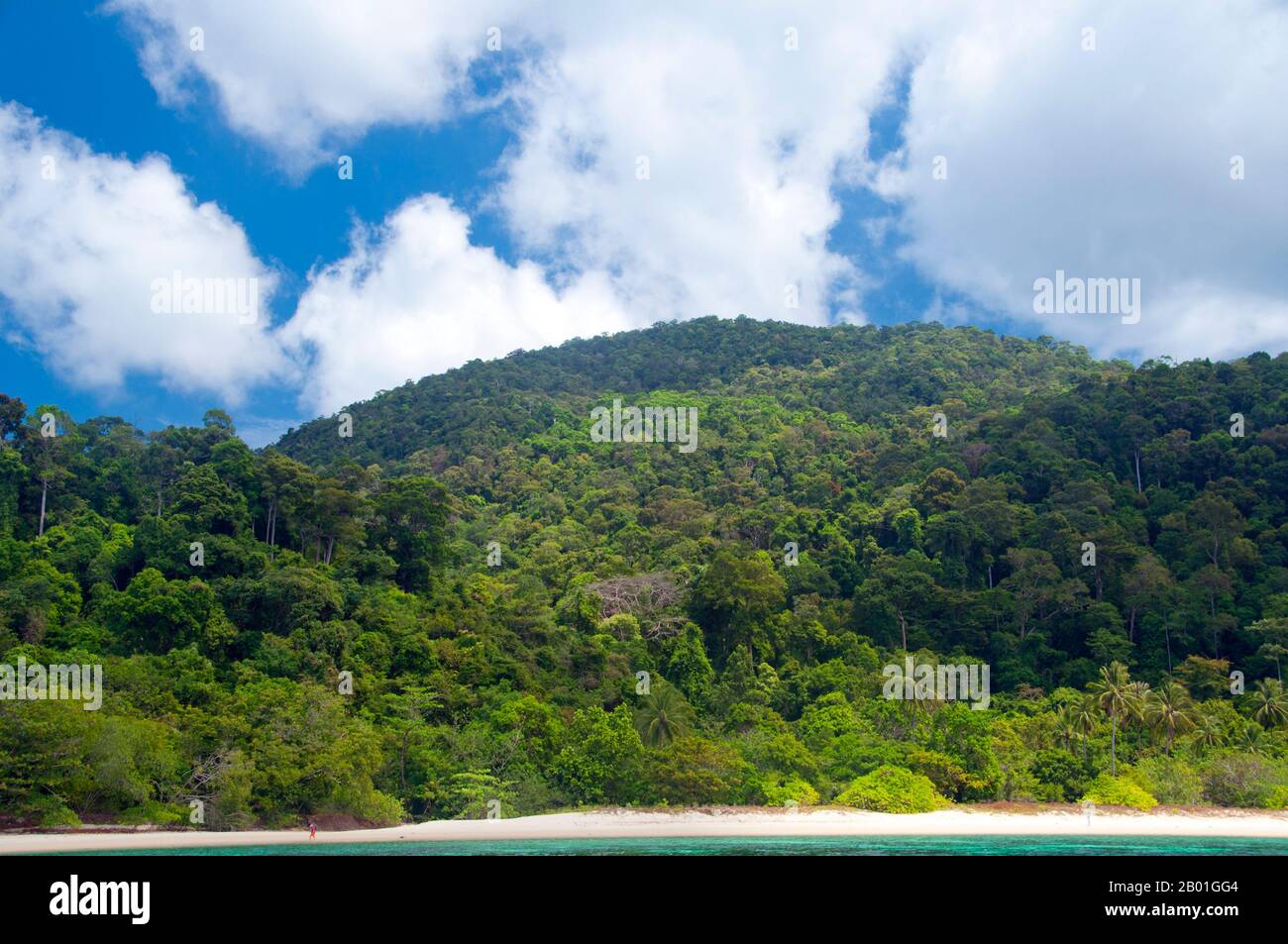 Thailand: Ko Adang, Ko Tarutao Marine Nationalpark. Ko Adang ist etwa 30 12 groß und fast vollständig von tropischem Regenwald bedeckt. Die Insel ist berühmt für ihr klares Wasser, feine Quarzstrände und herrliche Korallenriffe, die ein Lebensraum für Schwärme bunter Fische und eine Vielzahl anderer Meeresbewohner bieten. Das Innere von Ko Adang ist auch wunderschön unberührt, mit mehreren Wasserfällen, die von den zentralen Höhen (703 Meter oder 2.300 Fuß) herunterfallen, vor allem Nam Tok Chon Salat. Stockfoto