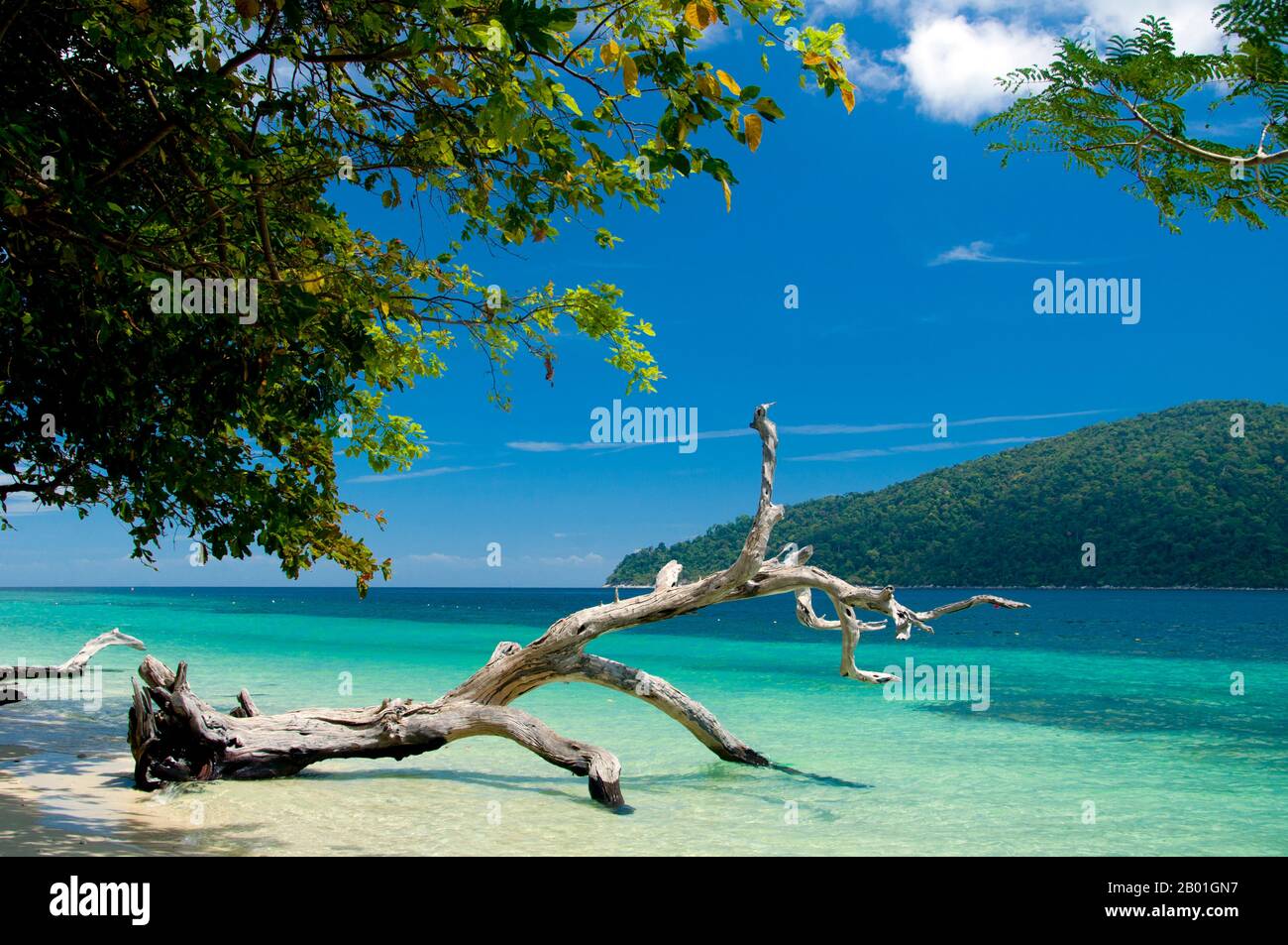 Thailand: Ko Rawi, Ko Tarutao Marine-Nationalpark. Ko Rawi ist die zweitgrößte Insel der Adang-Rawi Gruppe, die selbst Teil des Ko Tarutao Marine National Park ist. Es hat eine Fläche von etwa 29 Quadratkilometern (11,5 Quadratmeilen) und liegt nur 10km km (6 Meilen) westlich von Ko Adang. Der Marine-Nationalpark Ko Tarutao besteht aus 51 Inseln in zwei Hauptgruppen, die über die Andamanensee im südlichsten Thailand verstreut sind. Nur sieben der Inseln haben jede Größe, einschließlich Ko Tarutao im Osten und Ko Adang-Ko Rawi im Westen. Stockfoto