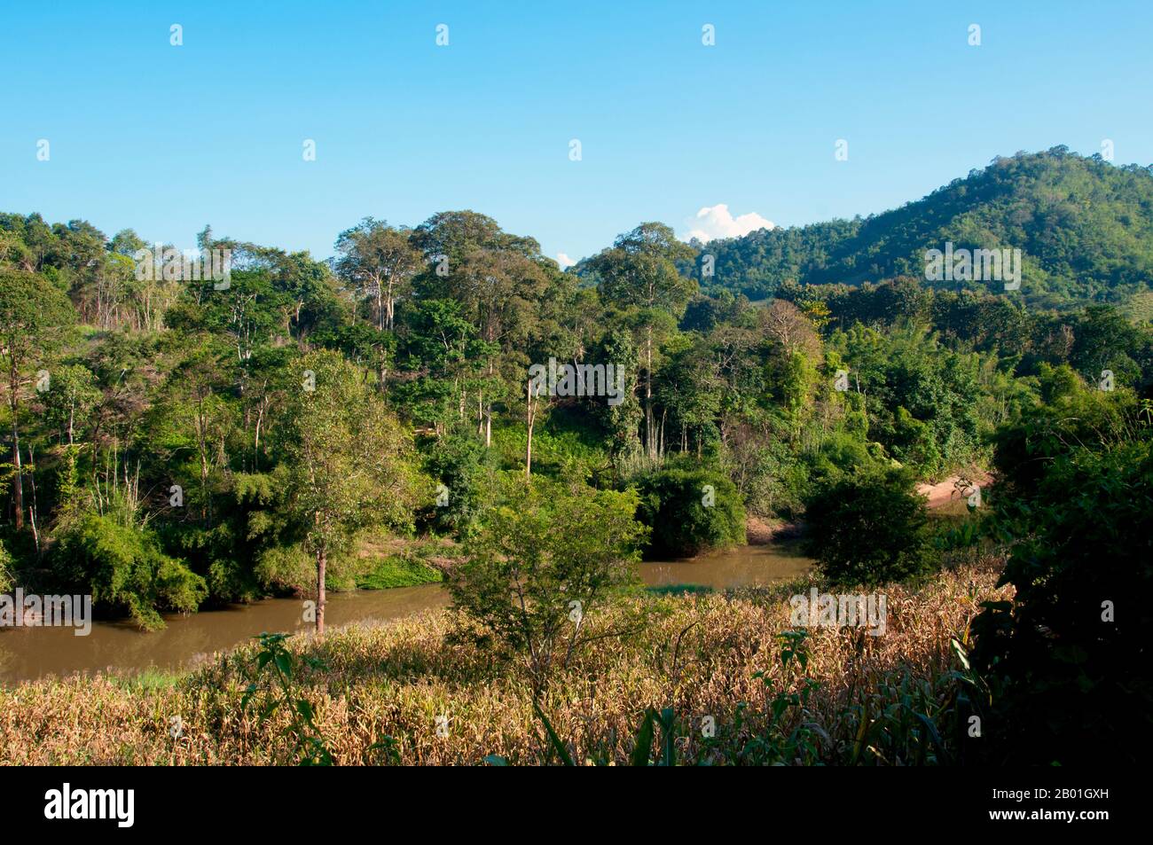 Thailand/Laos: Blick auf den Hueang River (Nam Hueang), der Thailand (in der Nähe des Ufers) und Laos (am Ufer) in der Provinz Loei teilt. Die Provinz Loei (Thai: เลย) befindet sich im oberen Nordosten Thailands. Die benachbarten Provinzen sind (von Osten nach rechts) Nong Khai, Udon Thani, Nongbua Lamphu, Khon Kaen, Phetchabun, Phitsanulok. Im Norden grenzt sie an die Provinzen Xaignabouli und Vientiane in Laos. Die Provinz ist von niedrigen Bergen bedeckt, während die Hauptstadt Loei in einem fruchtbaren Becken liegt. Der Fluss Loei, der durch die Provinz fließt, ist ein Nebenfluss des Mekong. Stockfoto