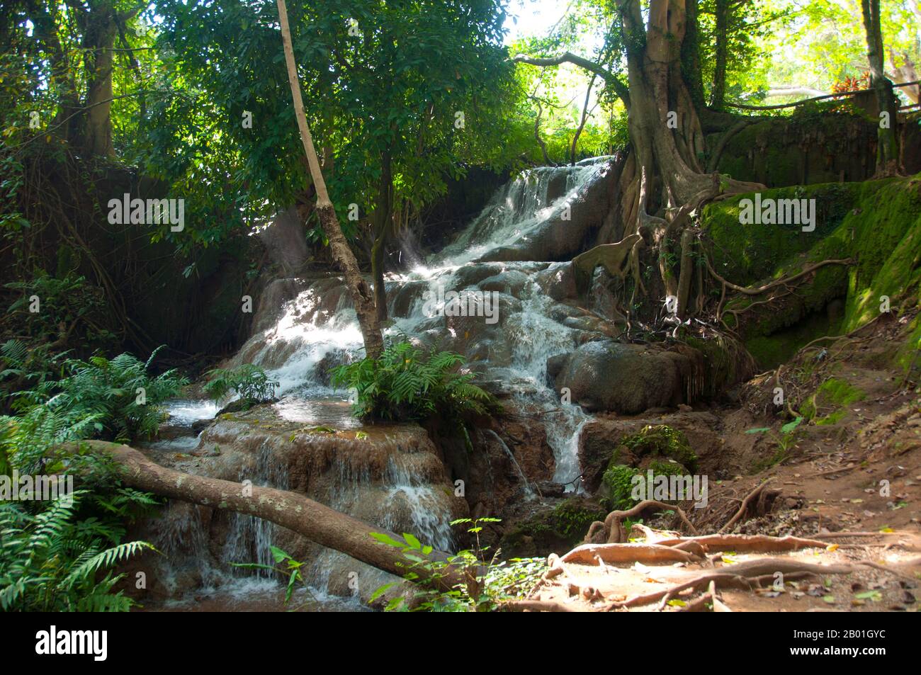 Thailand: Suan Hom Wasserfall in der Nähe von Suan hin Pha Ngam, Provinz Loei. Die Provinz Loei (Thai: เลย) befindet sich im oberen Nordosten Thailands. Die benachbarten Provinzen sind (von Osten nach rechts) Nong Khai, Udon Thani, Nongbua Lamphu, Khon Kaen, Phetchabun, Phitsanulok. Im Norden grenzt sie an die Provinzen Xaignabouli und Vientiane in Laos. Die Provinz ist von niedrigen Bergen bedeckt, während die Hauptstadt Loei in einem fruchtbaren Becken liegt. Der Fluss Loei, der durch die Provinz fließt, ist ein Nebenfluss des Mekong, der zusammen mit dem kleineren Fluss Hueang die nördliche Grenze der Provinz bildet. Stockfoto