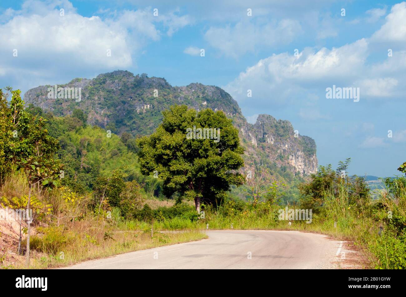Thailand: Nationalpark Kuan Pha Lom, Provinz Loei. Die Provinz Loei (Thai: เลย) befindet sich im oberen Nordosten Thailands. Die benachbarten Provinzen sind (von Osten nach rechts) Nong Khai, Udon Thani, Nongbua Lamphu, Khon Kaen, Phetchabun, Phitsanulok. Im Norden grenzt sie an die Provinzen Xaignabouli und Vientiane in Laos. Die Provinz ist von niedrigen Bergen bedeckt, während die Hauptstadt Loei in einem fruchtbaren Becken liegt. Der Fluss Loei, der durch die Provinz fließt, ist ein Nebenfluss des Mekong, der zusammen mit dem kleineren Fluss Hueang die nördliche Grenze der Provinz zu Laos bildet. Stockfoto