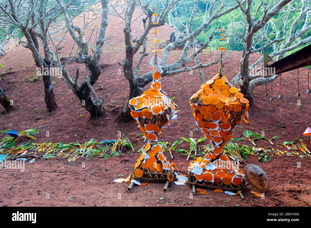 Thailand: Tan Dok Mai (Blume)-Angebote, die die Dorfbewohner nach der jährlichen Wallfahrt am 14. Und 15. Tag des wachsenden Mondes im November in Phra That Thaen, Bezirk Na Haeo, Provinz Loei, hinterlassen haben. Die Provinz Loei (Thai: เลย) befindet sich im oberen Nordosten Thailands. Die benachbarten Provinzen sind (von Osten nach rechts) Nong Khai, Udon Thani, Nongbua Lamphu, Khon Kaen, Phetchabun, Phitsanulok. Im Norden grenzt sie an die Provinzen Xaignabouli und Vientiane in Laos. Die Provinz ist von niedrigen Bergen bedeckt, während die Hauptstadt Loei in einem fruchtbaren Becken liegt. Stockfoto