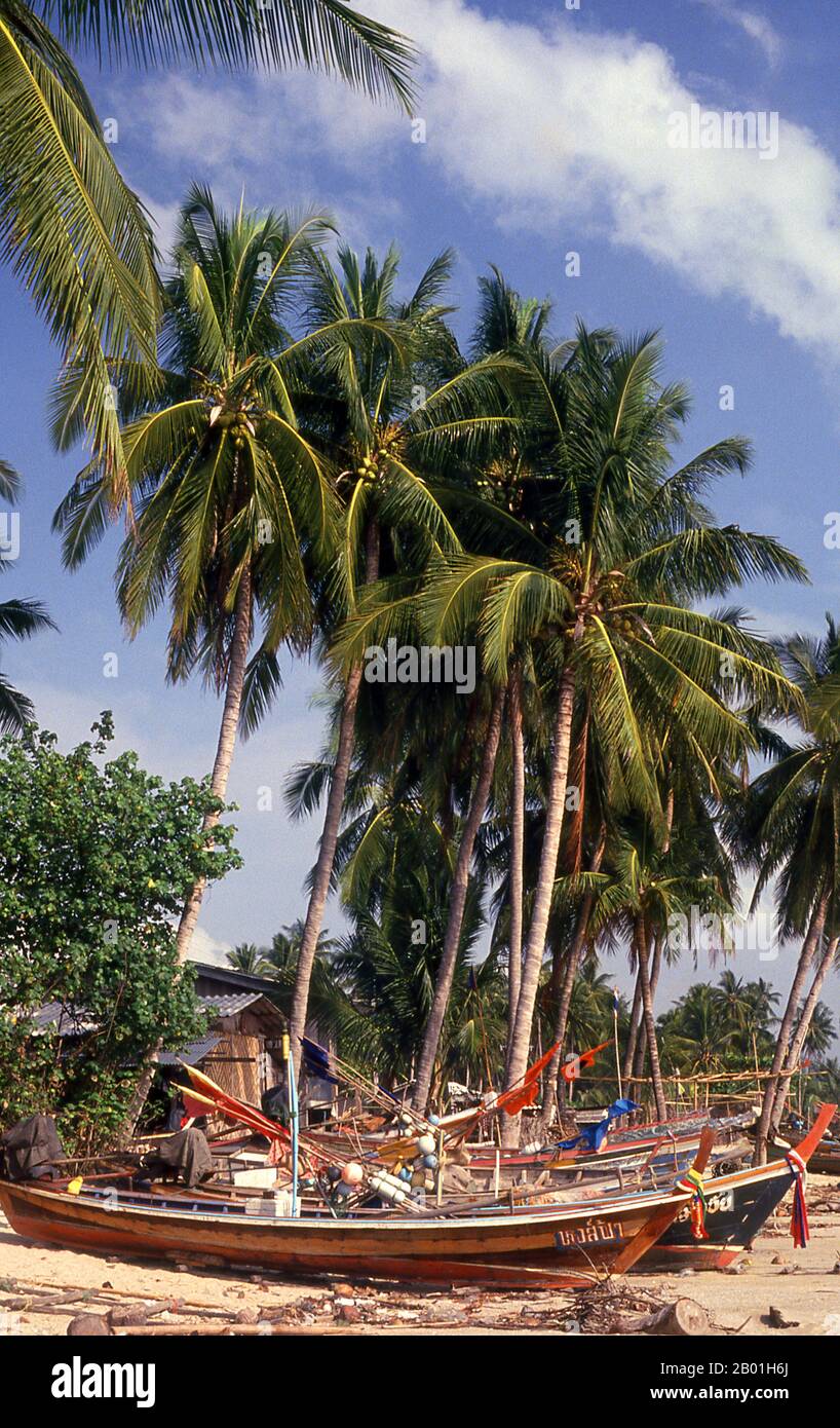 Thailand: Boote aus Kokosnussholz, die unter hohen Palmen liegen, Narathiwat, Südthailand. Narathiwat ist eine ruhige, abgeschiedene kleine Stadt mit rund 40.000 Einwohnern, eine der kleinsten Provinzhauptstädte in Thailand. Viele der Gebäude der Stadt bestehen aus Holzbauten, die sich entlang zweier paralleler Straßen am Ufer des Bang Nara River befinden. Narathiwat ist einer der wenigen Orte, an denen sich die thailändische und malaiische Welt treffen und mit der der überseeischen Chinesen mischen. Dies hat zu einem faszinierend komplexen Sozialsystem geführt. Stockfoto