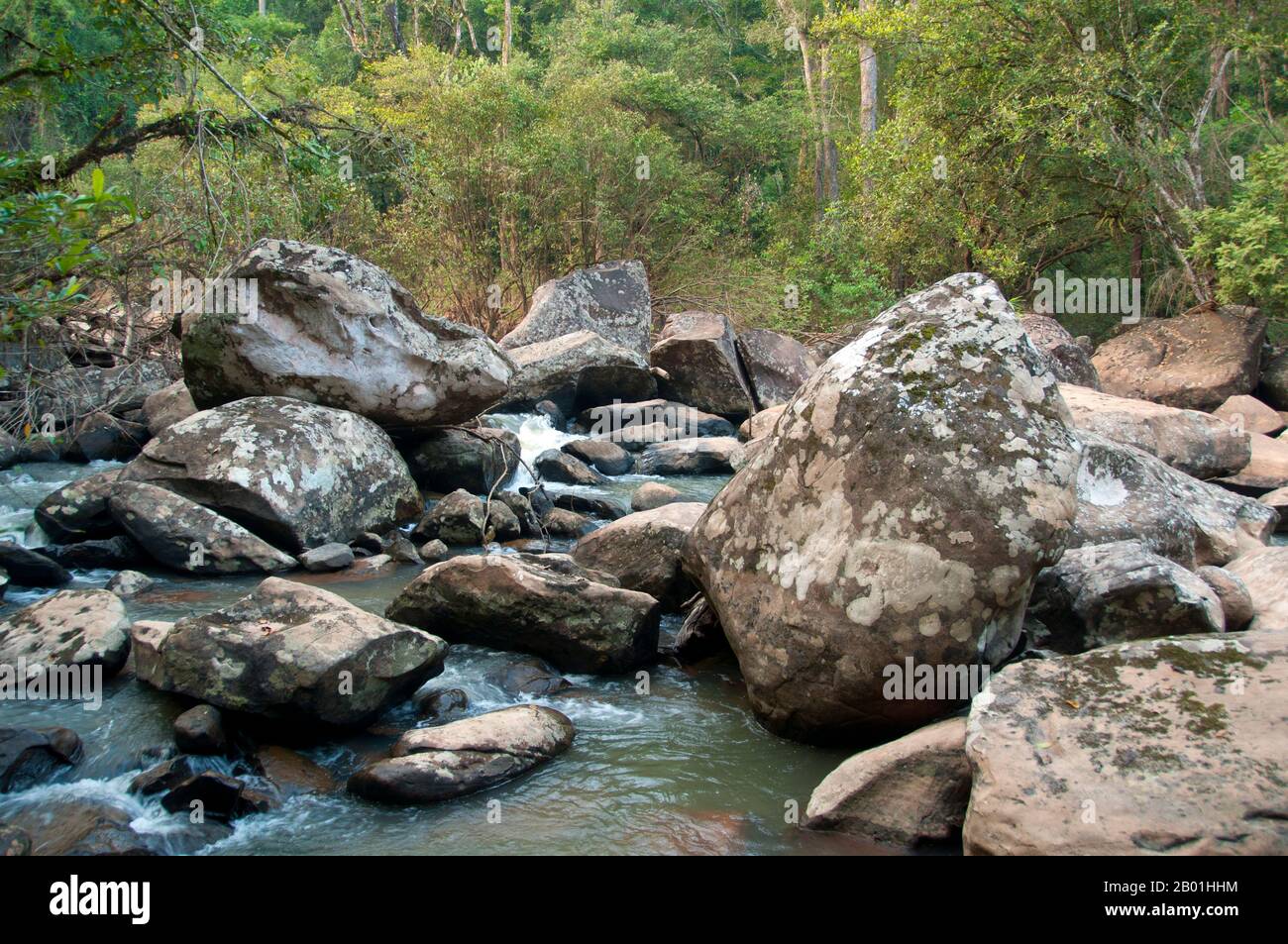 Thailand: Tat Huang Wasserfall (Namtok Nam Hueang), auch bekannt als Thai-Lao Wasserfall oder internationaler Wasserfall, Phu Suan Sai Nationalpark, Provinz Loei. Die Provinz Loei befindet sich im oberen Nordosten Thailands. Die benachbarten Provinzen sind (von Osten nach rechts) Nong Khai, Udon Thani, Nongbua Lamphu, Khon Kaen, Phetchabun, Phitsanulok. Im Norden grenzt sie an die Provinzen Xaignabouli und Vientiane in Laos. Die Provinz ist von niedrigen Bergen bedeckt, während die Hauptstadt Loei in einem fruchtbaren Becken liegt. Der Fluss Loei, der durch die Provinz fließt, ist ein Nebenfluss des Mekong. Stockfoto