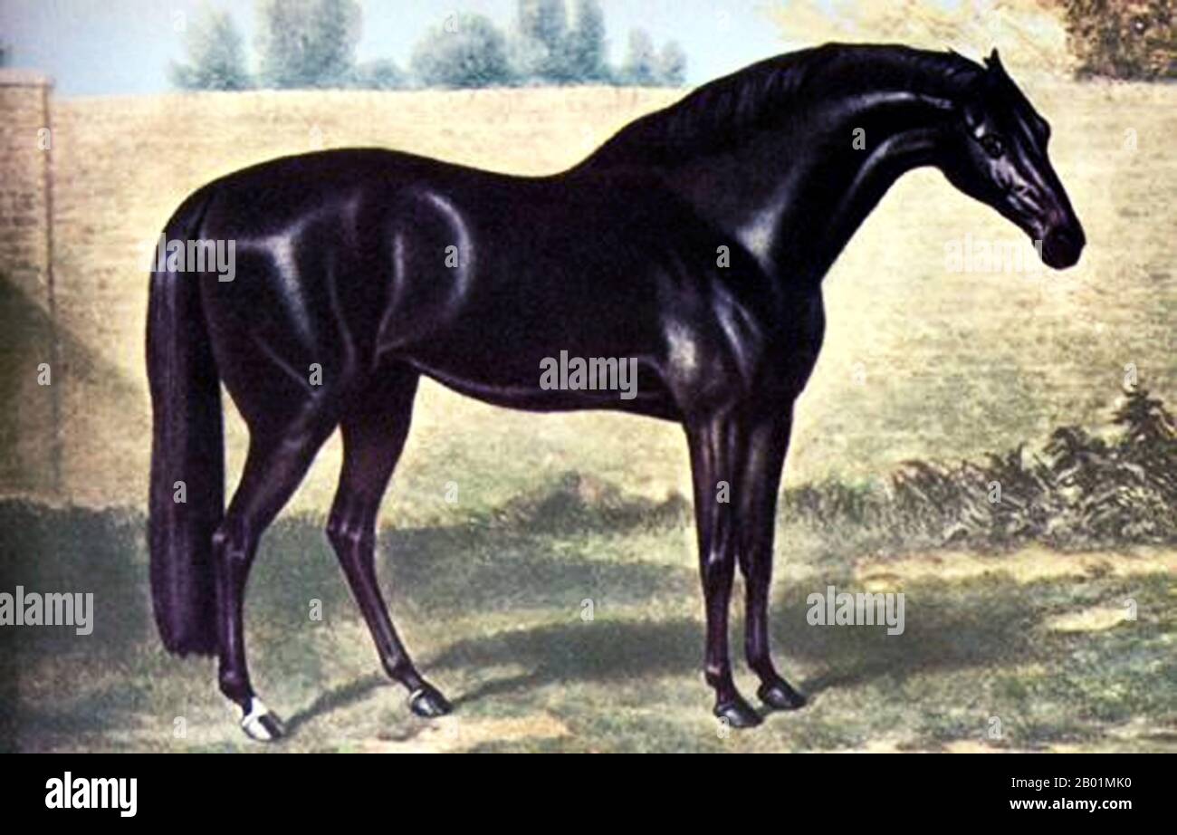 Vereinigtes Königreich: "Godolphin Arab". Ölgemälde auf Leinwand von George Stubbs (24. August 1724 - 10. Juli 1806), um 1750 Der Godolphin Arabian (um 1724–1753), auch bekannt als Godolphin Barb, war ein arabisches Pferd, das einer von drei Hengsten war, die die modernen Vollblutpferdeblutpferdeblutblutblutblutungen begründeten (die anderen beiden sind der Darley Arabian und der Byerley Turk). Er erhielt seinen Namen nach seinem bekanntesten Besitzer Francis Godolphin, 2. Earl of Godolphin. Stockfoto