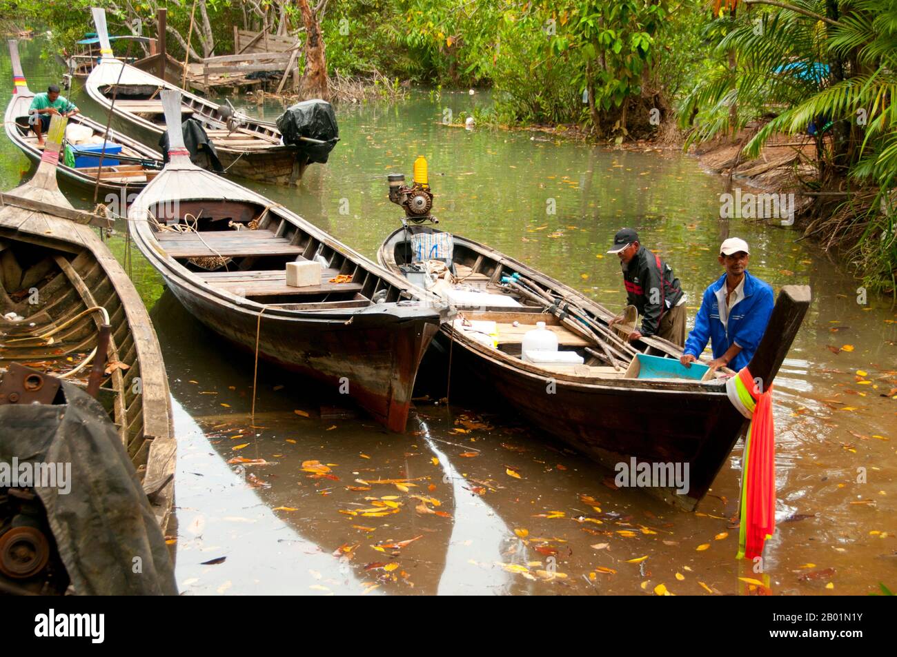 Thailand: Boote auf dem Fluss in Tha Pom Sumpf und Wald, Krabi Küste. Tha Pom (vollständiger Name auf Thai ist Pa Phru Tha Pom Khlong Song Nam) ist ein Torfsumpf und Wald, der hauptsächlich von einem Becken namens Chong Phra Kaew entlang einer natürlichen Wasserstraße verläuft. Die Einheimischen nennen diesen Wasserweg Khlong Song Nam oder „zwei Arten von Wasserkanälen“, weil klares Süßwasser bei Flut auf Meerwasser trifft und sich mit Meerwasser verschmelzt, was zu einer natürlichen Umgebung führt, in der sich Lumphi-Palmen (Eleiodoxa conferta) treffen und mit Mangrovenwäldern vermischen. Stockfoto