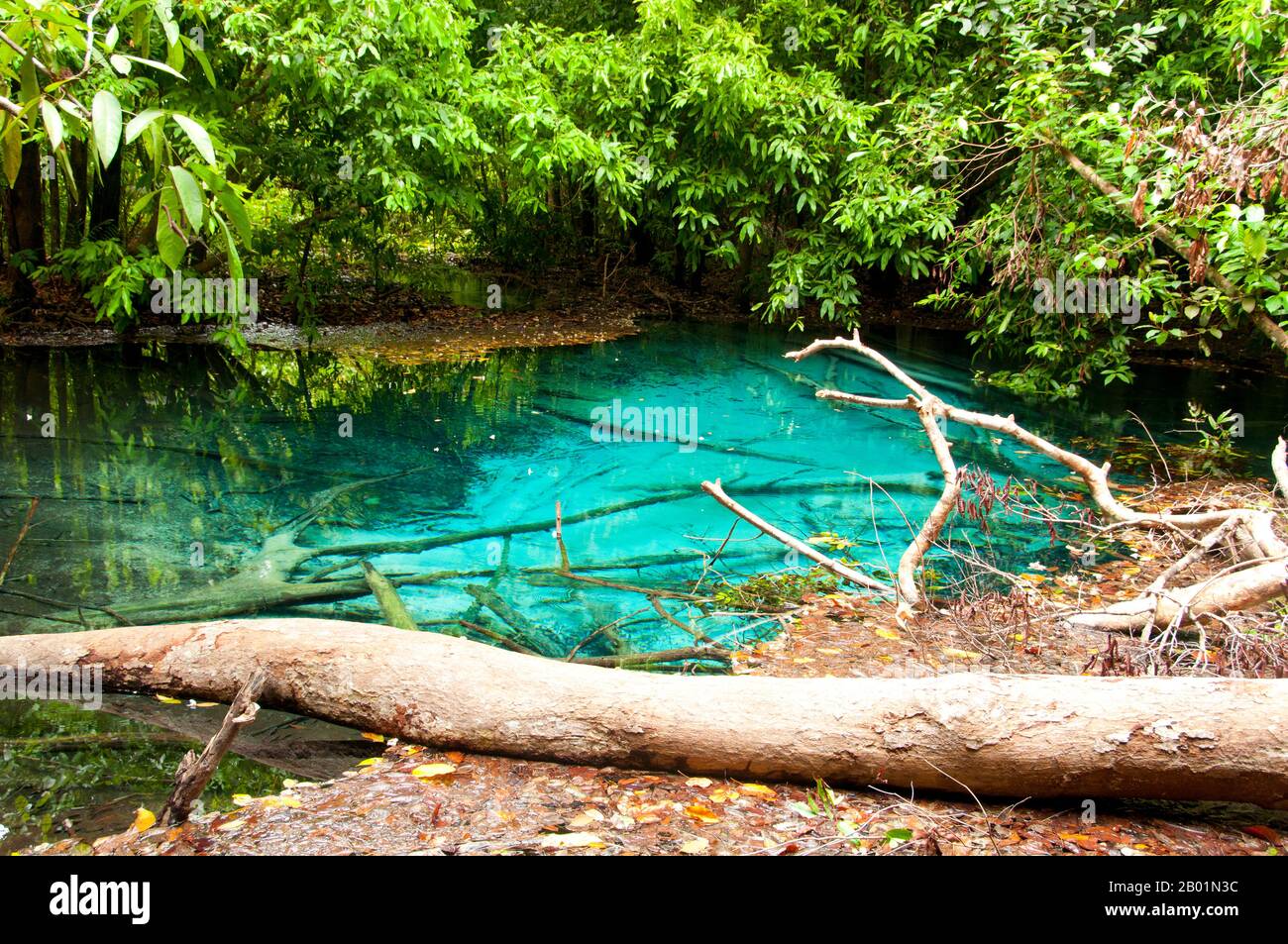 Thailand: Blue Pool, Tung Tieo Forest Trail, Khao Pra - Bang Khram Wildlife Sanctuary, Provinz Krabi. Das Khao Pra - Bang Khram Wildlife Sanctuary liegt südöstlich von Krabi Town 18 km östlich der kleinen Stadt Khlong Thom. Das bei Vogelbeobachtern beliebte Schutzgebiet ist die Heimat der seltenen Gurney’s Pitta, einer bedrohten Art, die einst als ausgestorben galt, aber in sehr geringer Zahl sowohl hier als auch über die Grenze in abgelegenen Teilen Südmyanmars (Burma) wiederentdeckt wurde. Stockfoto