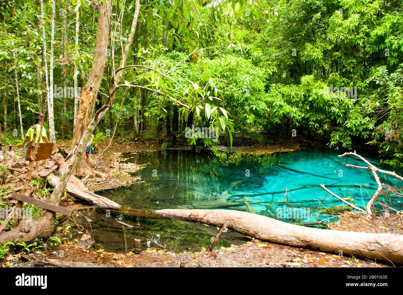 Thailand: Blue Pool, Tung Tieo Forest Trail, Khao Pra - Bang Khram Wildlife Sanctuary, Provinz Krabi. Das Khao Pra - Bang Khram Wildlife Sanctuary liegt südöstlich von Krabi Town 18 km östlich der kleinen Stadt Khlong Thom. Das bei Vogelbeobachtern beliebte Schutzgebiet ist die Heimat der seltenen Gurney’s Pitta, einer bedrohten Art, die einst als ausgestorben galt, aber in sehr geringer Zahl sowohl hier als auch über die Grenze in abgelegenen Teilen Südmyanmars (Burma) wiederentdeckt wurde. Stockfoto