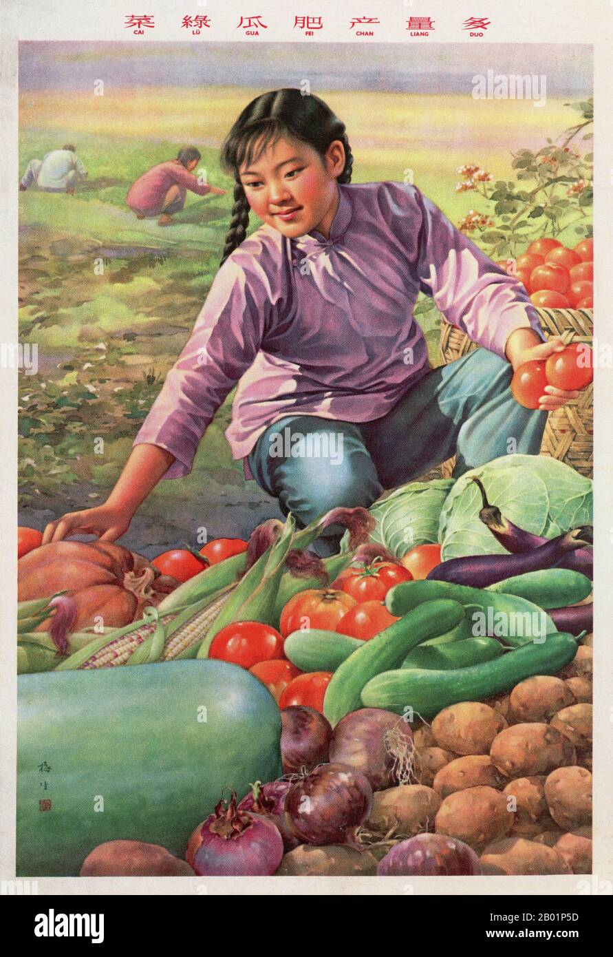 China: "Das Gemüse ist grün, die Gurken prallen, der Ertrag reichlich". Propagandaplakat aus dem Großen Sprung nach vorne (1958–1961) von Jin Meisheng, 1959. Der große Sprung nach vorne in der Volksrepublik China (VR China) war eine wirtschaftliche und soziale Kampagne der Kommunistischen Partei Chinas (KPC), die sich in Planungsentscheidungen von 1958 bis 1961 widerspiegelte. die darauf abzielte, Chinas riesige Bevölkerung zu nutzen, um das Land durch den Prozess der raschen Industrialisierung und Kollektivierung rasch von einer Agrarwirtschaft in eine moderne kommunistische Gesellschaft zu verwandeln. Stockfoto