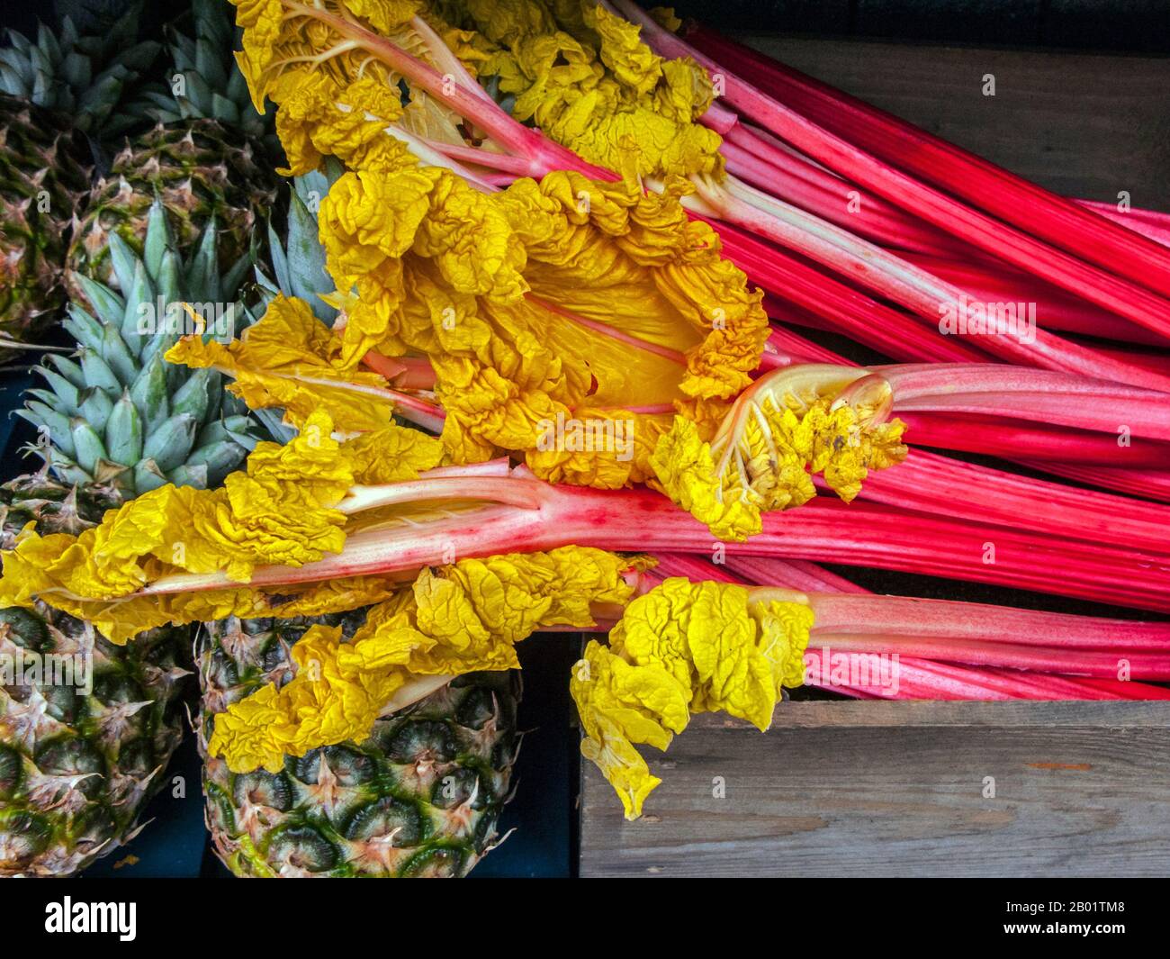 Anzeige von Rhubarb und Ananas Stockfoto