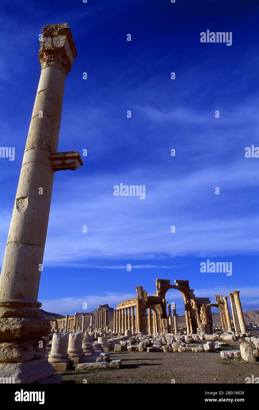 Syrien: Säule und Eingang zur Großen Kolonnade, Palmyra. Palmyra war eine antike Stadt in Syrien. Es war eine wichtige Stadt in Zentralsyrien, in einer Oase 215 km nordöstlich von Damaskus und 180 km südwestlich des Euphrat bei Deir EZ-Zor gelegen. Sie war lange Zeit eine lebenswichtige Karawanenstadt für Reisende, die die syrische Wüste durchquerten, und wurde als Braut der Wüste bekannt. Die früheste dokumentierte Erwähnung der Stadt mit ihrem semitischen Namen Tadmor, Tadmur oder Tudmur (was „die Stadt, die abstößt“ auf Amorit und „die unbezwingbare Stadt“ auf Aramäisch bedeutet) ist in babylonischen Tafeln dokumentiert, die in Mari gefunden wurden. Stockfoto