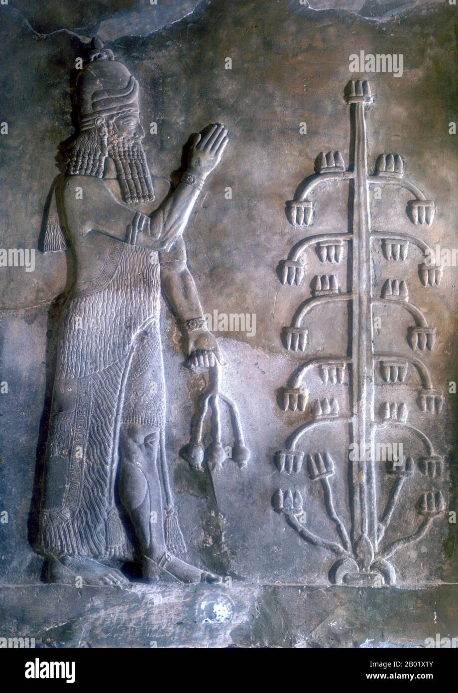 Irak: Dschinn mit Mohnblume. BAS-Relief aus dem Palast von Sargon II. (Ca. 770–705 v. Chr.), Dur Sharrukin in Assyrien (Chorsabad), ca. 716-713 v. Chr. Sargon II. Regierte als König des Neo-Assyrischen Reiches von 722 v. Chr. bis zu seinem Tod in der Schlacht 705 v. Chr. Er kam wahrscheinlich an die Macht, nachdem er seinen Bruder Shalmaneser V. gestürzt und die Sargoniden-Dynastie gegründet hatte. Er nahm seinen regierenden Namen nach dem alten Eroberer Sargon von Akkad an und erweiterte Assyrisches Territorium als mächtiger Krieger-König und Militärstratege, führte seine Truppen persönlich in die Schlacht und besiegte alle seine großen Feinde während seiner Herrschaft. Stockfoto