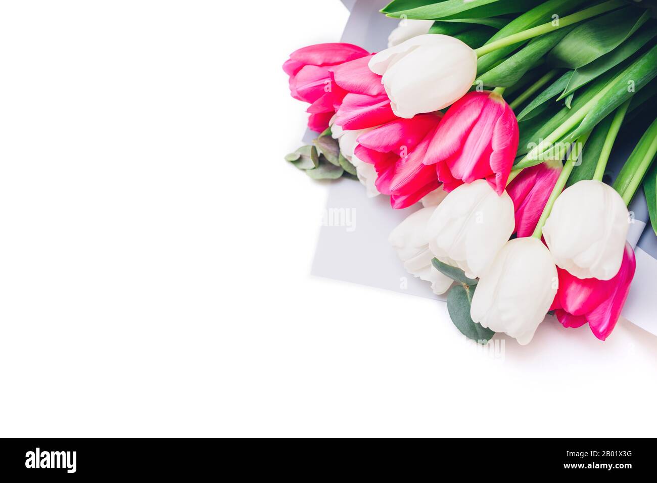 Frühlingsblumen isoliert auf weißem Grund. Frauentag. Blumenstrauß aus weißen und pingenden Tulpen. Geschenk für den Muttertag. Stockfoto