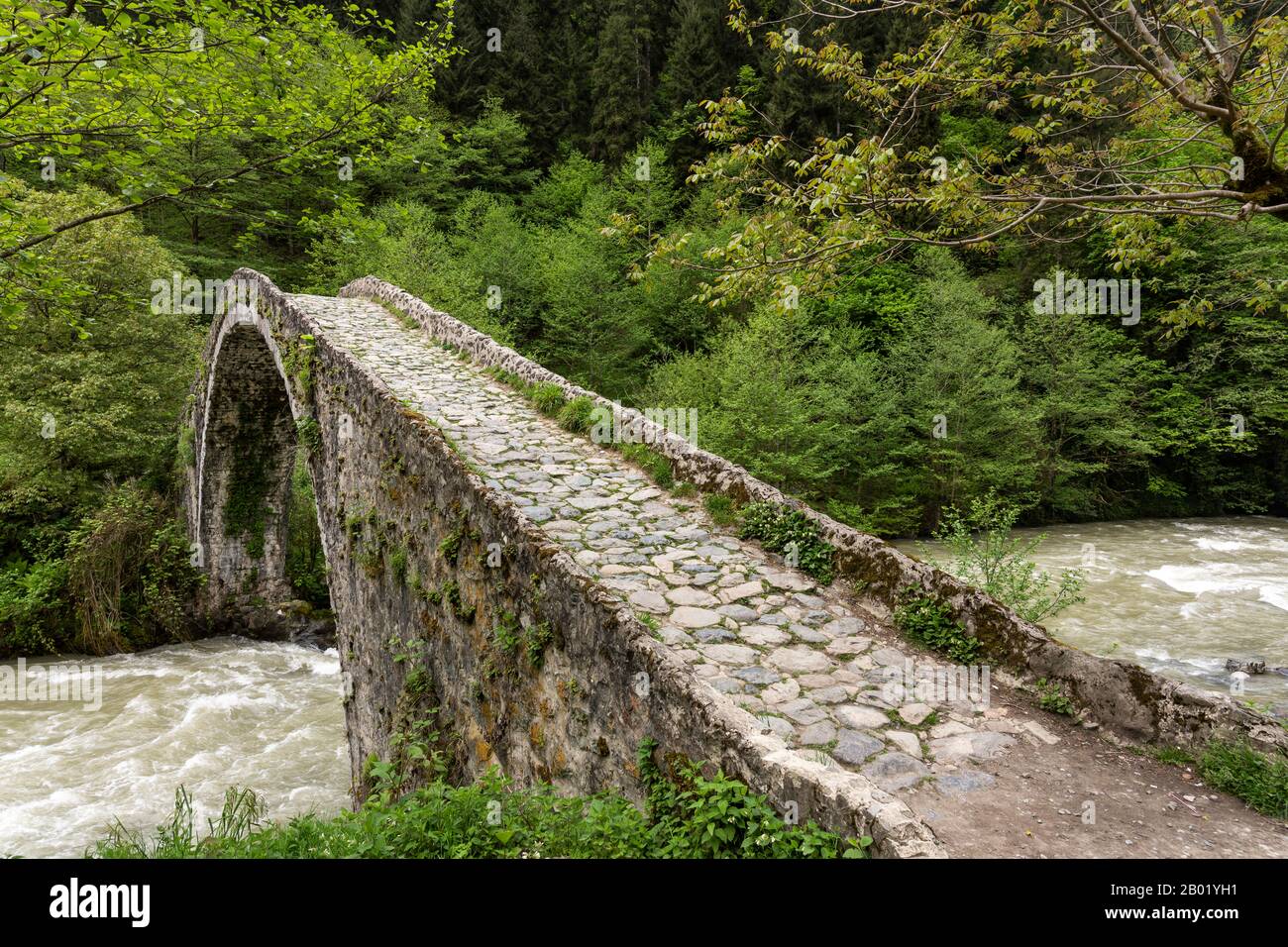 Ortankoy, Rize, Alte osmanische Bogenbrücke über den Firtina Fluss mit Häusern im Tal. Stockfoto