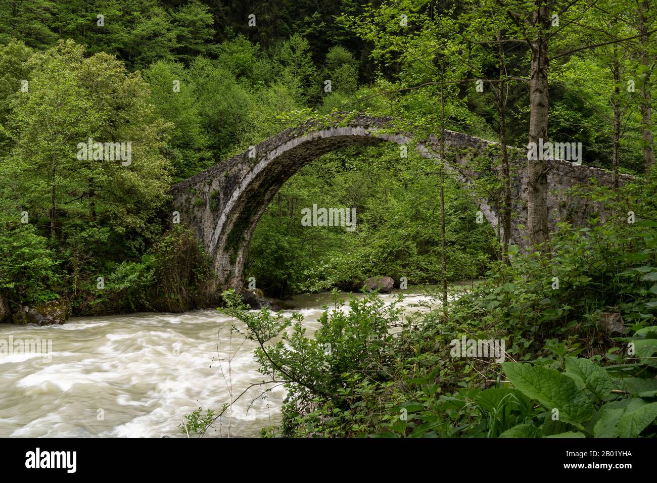 Ortankoy, Rize, Alte osmanische Bogenbrücke über den Firtina Fluss mit Häusern im Tal. Stockfoto